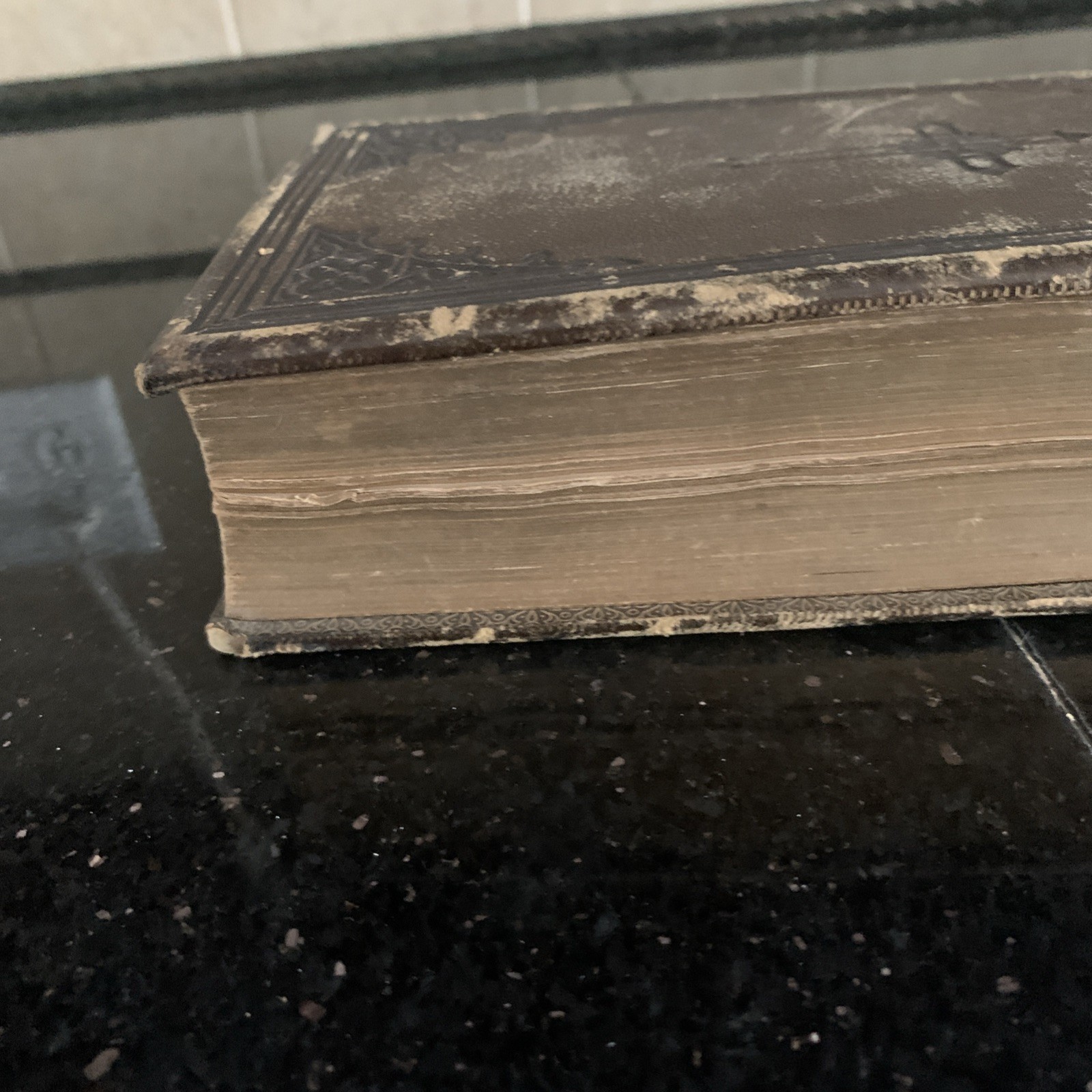 1860 Episcopal Book Of Common Prayer D. Appleton & Company