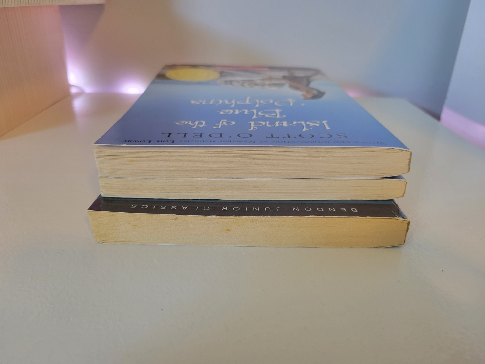 Lot Of 3 Childrens Middle Grade Chapter Books Island Of The Blue Dolphins