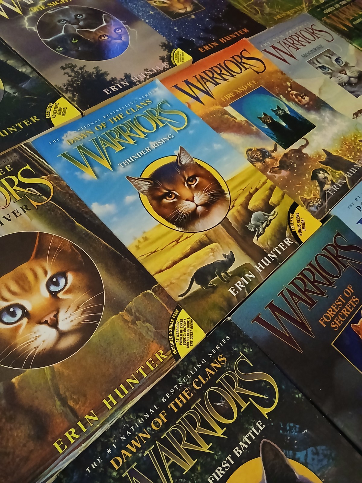 13 peace WARRIOS ERIN HUNTER Books ,