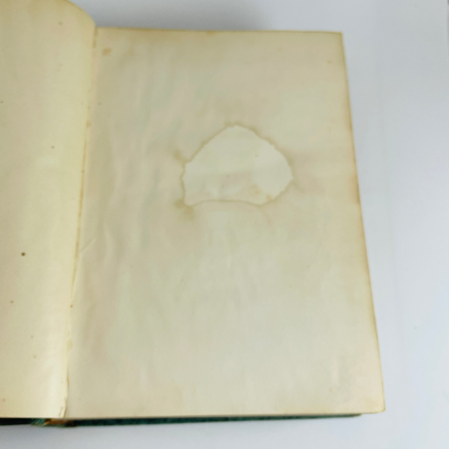 Every-Day Life of Abraham Lincoln Browne 1886 Illustrated Biography N.D