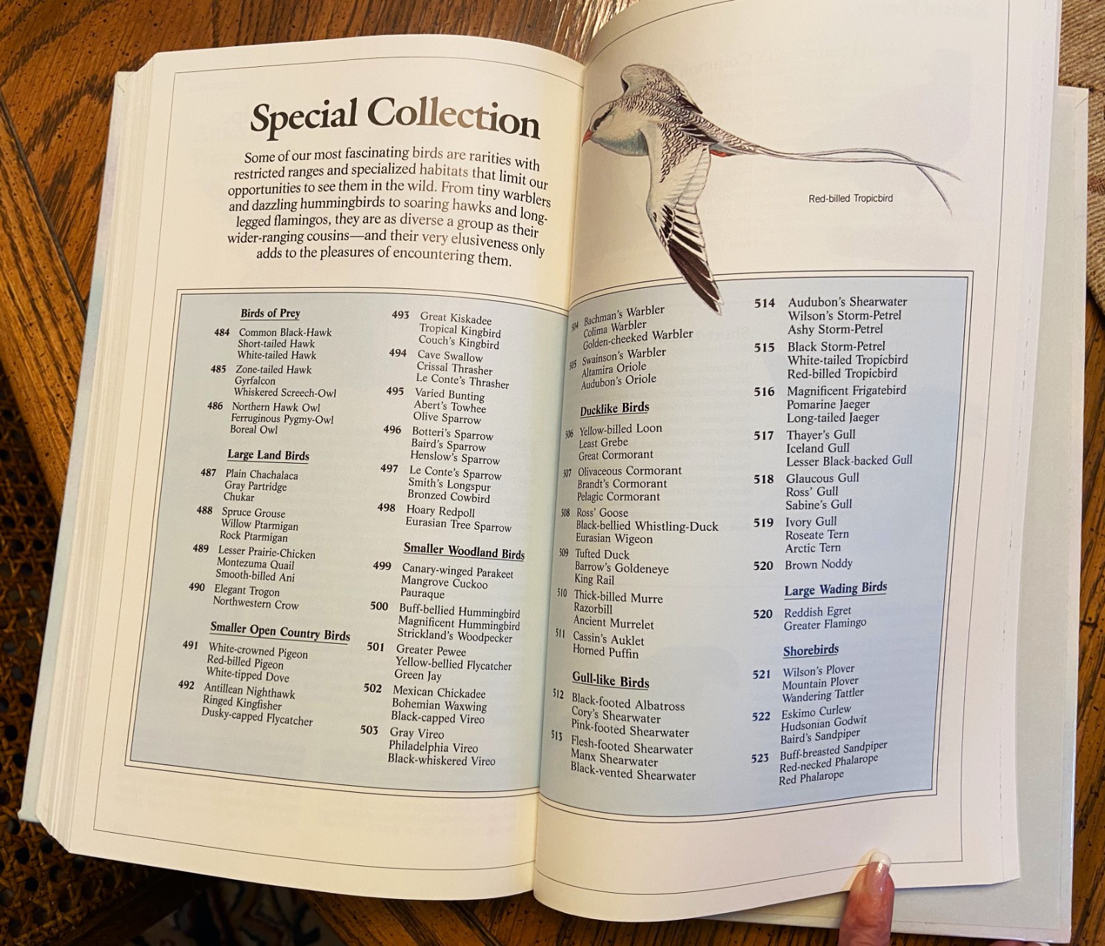 Vintage Reader’s Digest „BOOK of NORTH AMERICAN BIRDS“, hardcover, 576 pgs, Mint