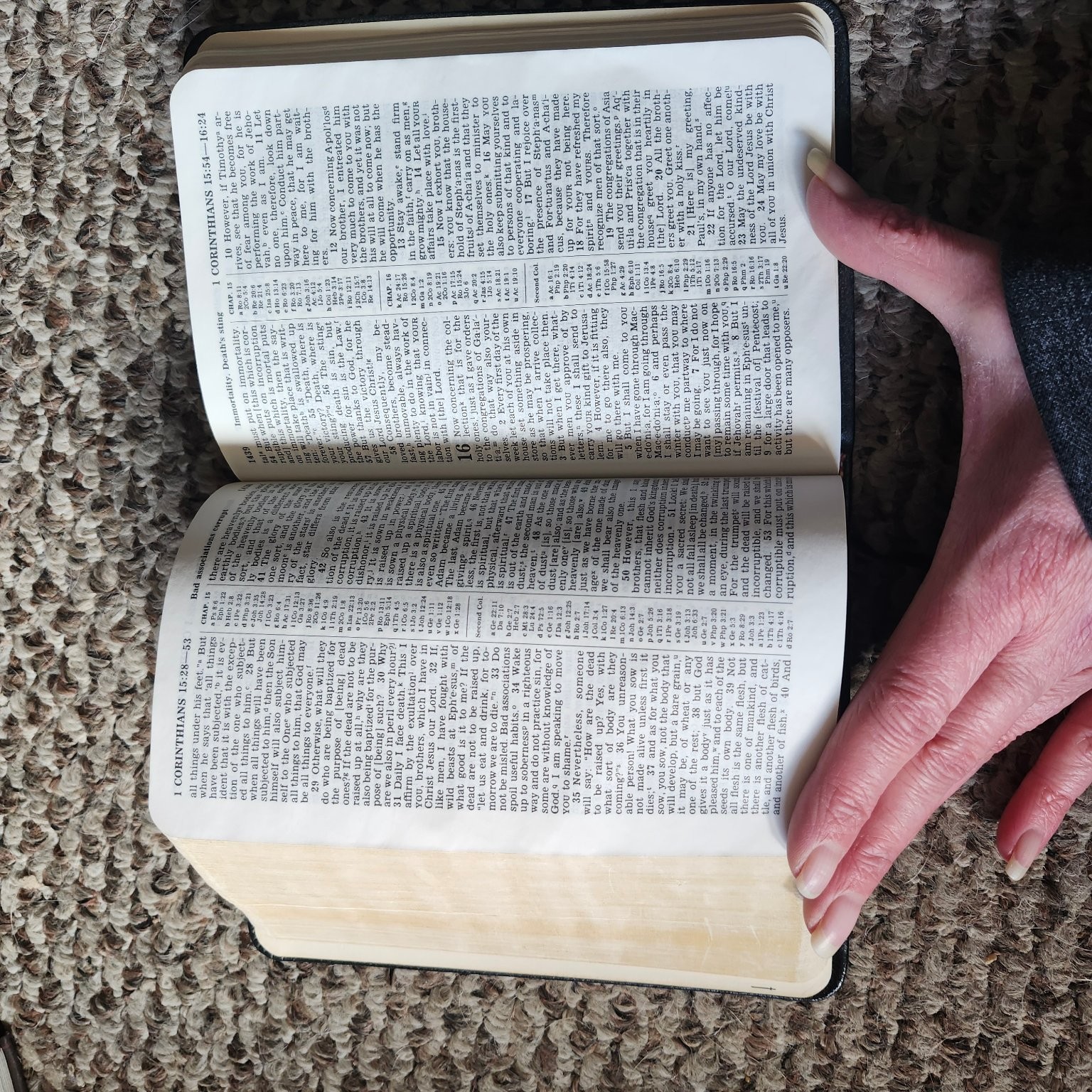 New World Translation Holy Scriptures 1984 Revised Bible Watch Tower Society