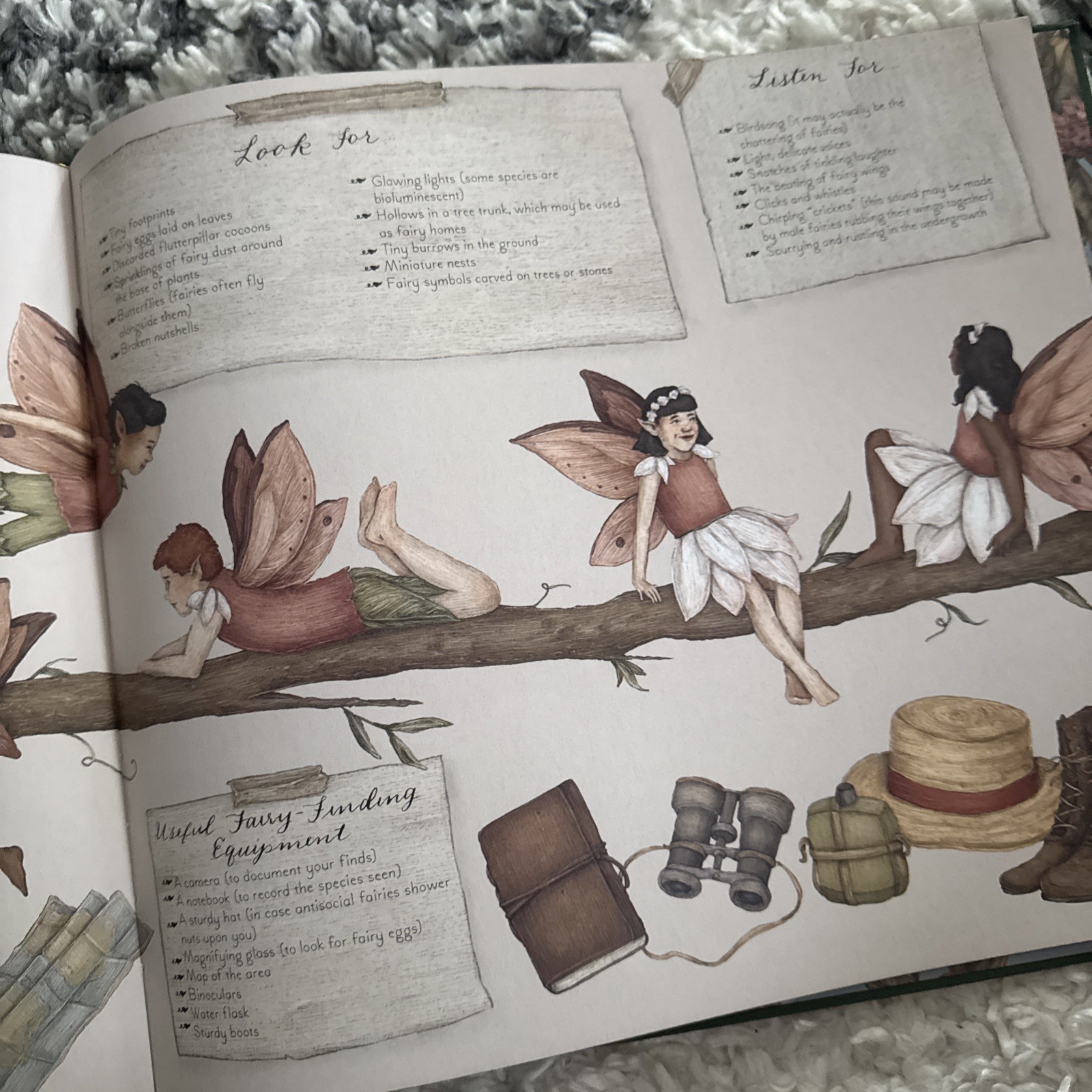 Natural History of Fairies by Emily Hawkins (2020, Hardcover)