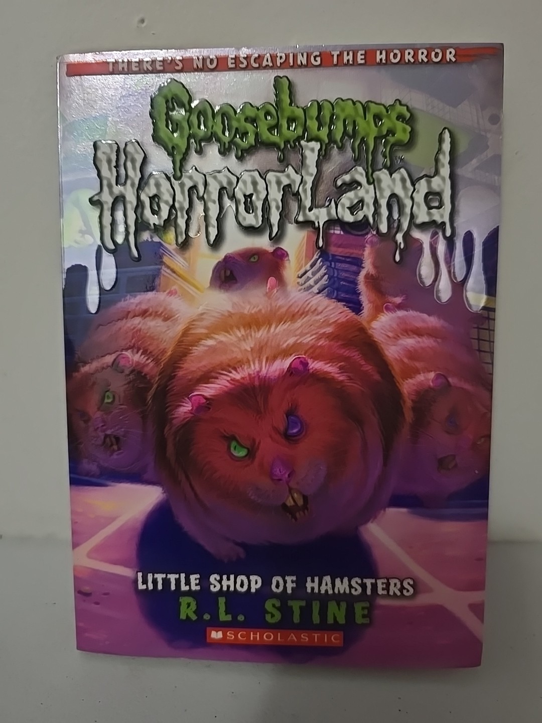 R.L. Stine Book Lot Of 24- Fear Street, Twisted, Rotten School, Goosebumps,