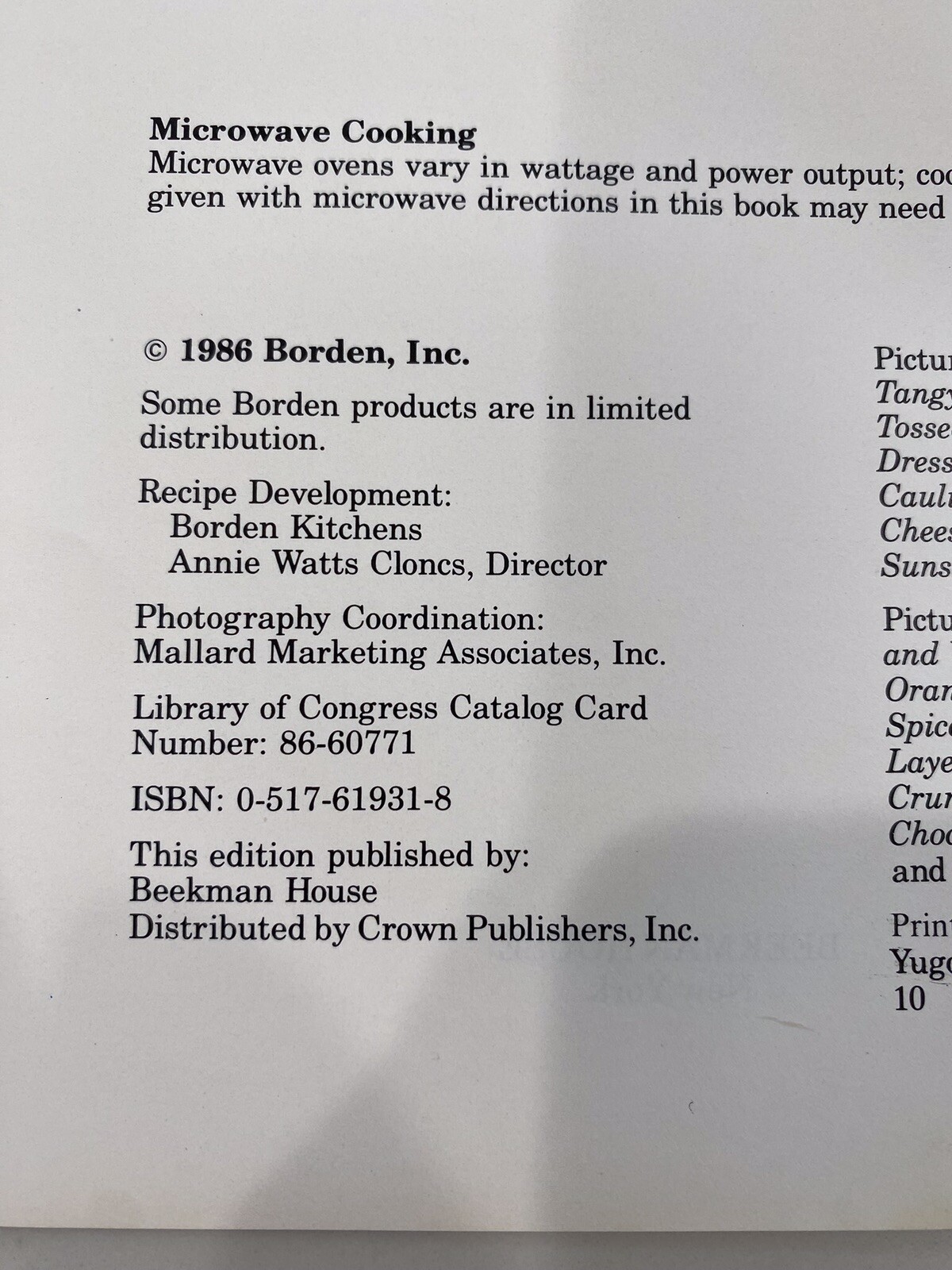 Borden Recipe Collection 1982 cookbook 96 pages