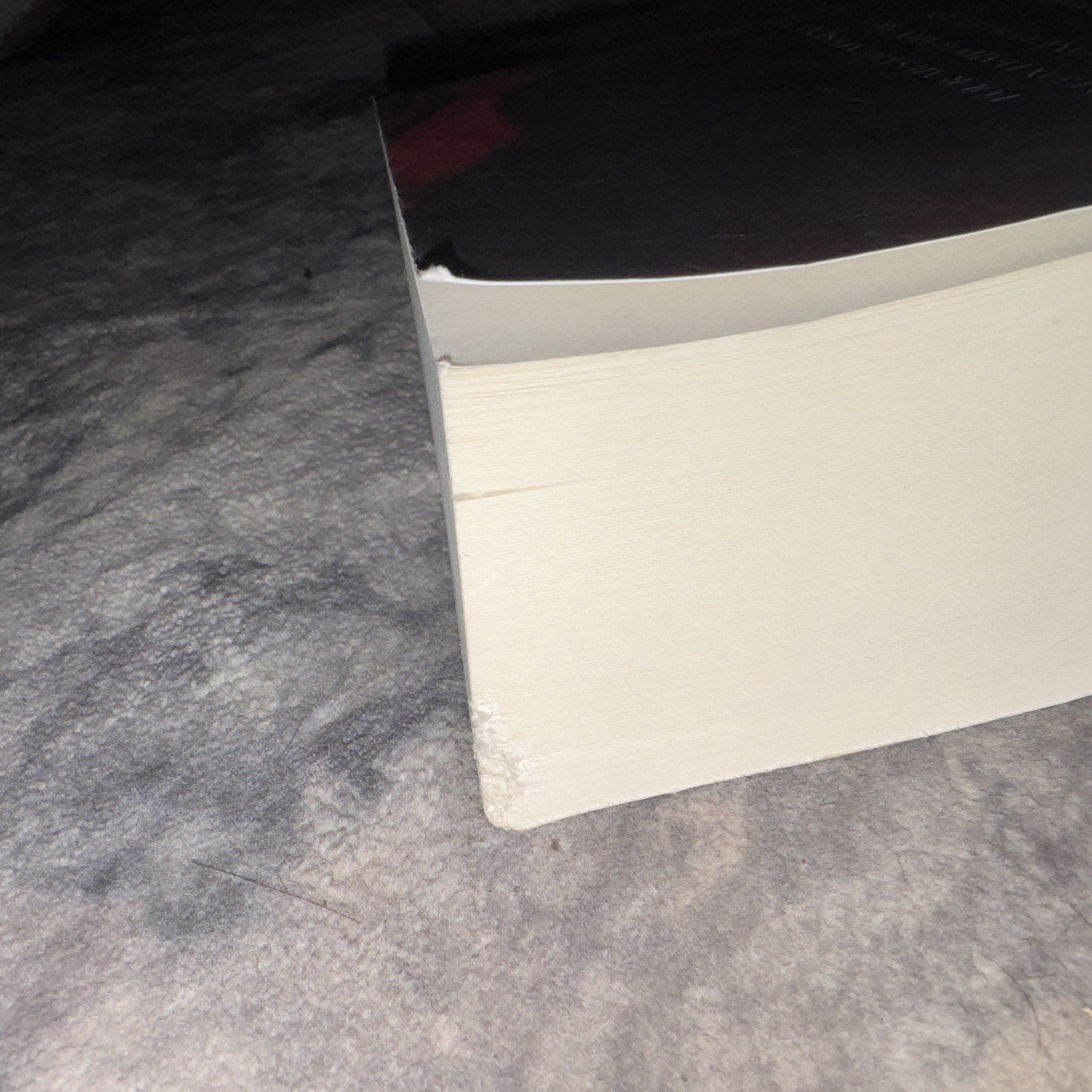 Highest Bidder Paperback Lauren Landish and Willow Winters English – Signed!