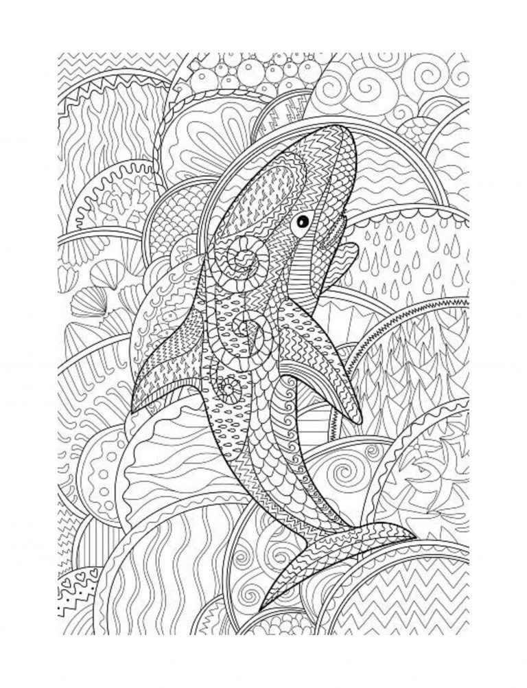 Best Save the Whales Coloring Save the Planet Series 108 Pages 8.5 x 11 All Ages