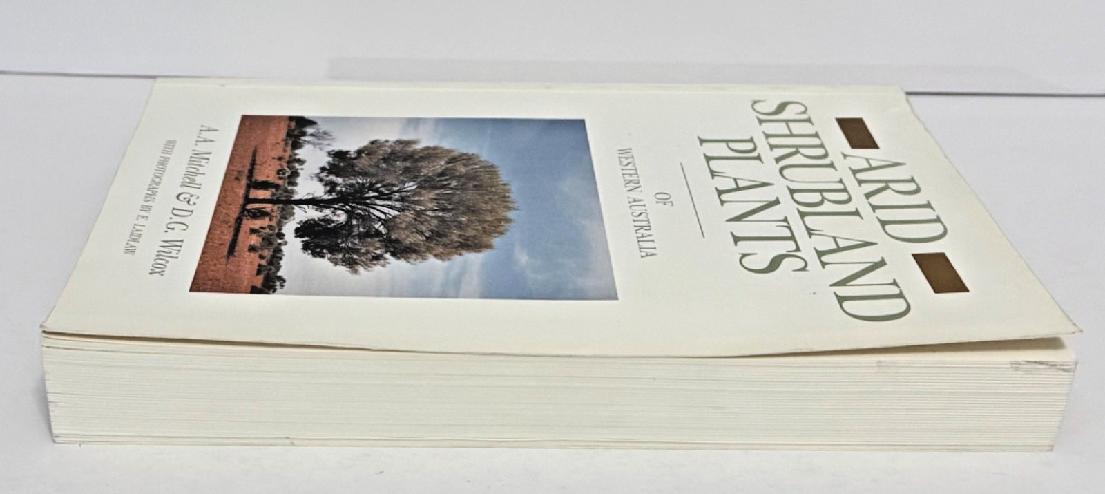 Arid Shrubland Plants of Western Australia by Mitchell & Wilcox 2nd Ed. 1998 PB