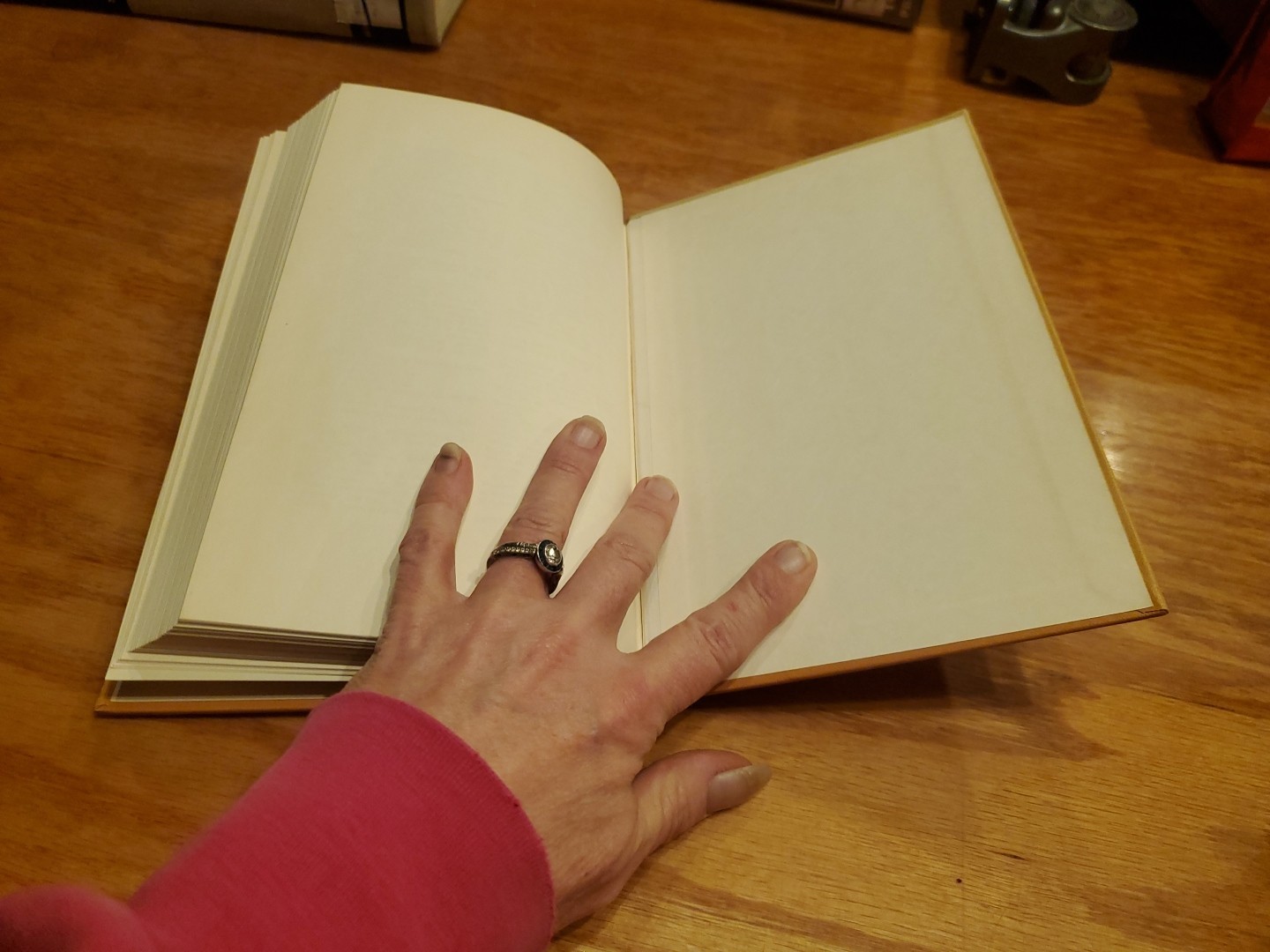 Defender of Human Rights: Carl Schurz by James P. Terzian 1965 HC