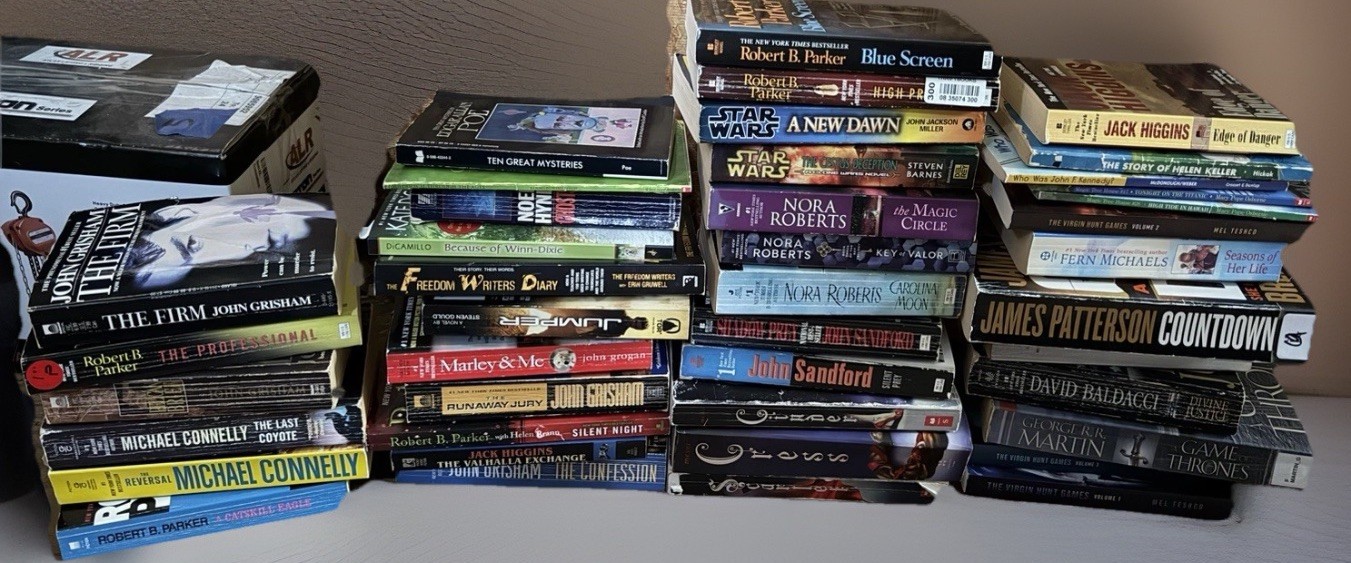 Lot 10 RANDOM Paperback Books + 5 Hardcover! Genre Mix/Suspense/Thriller/Horror