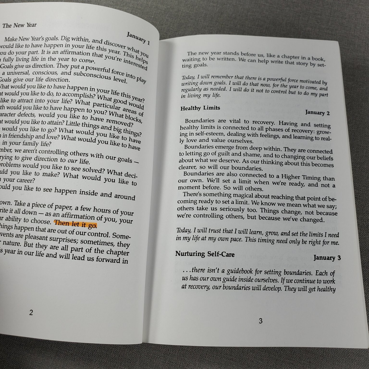 The Language of Letting Go Melody Beattie Daily Meditations 2002 Hazelden Book