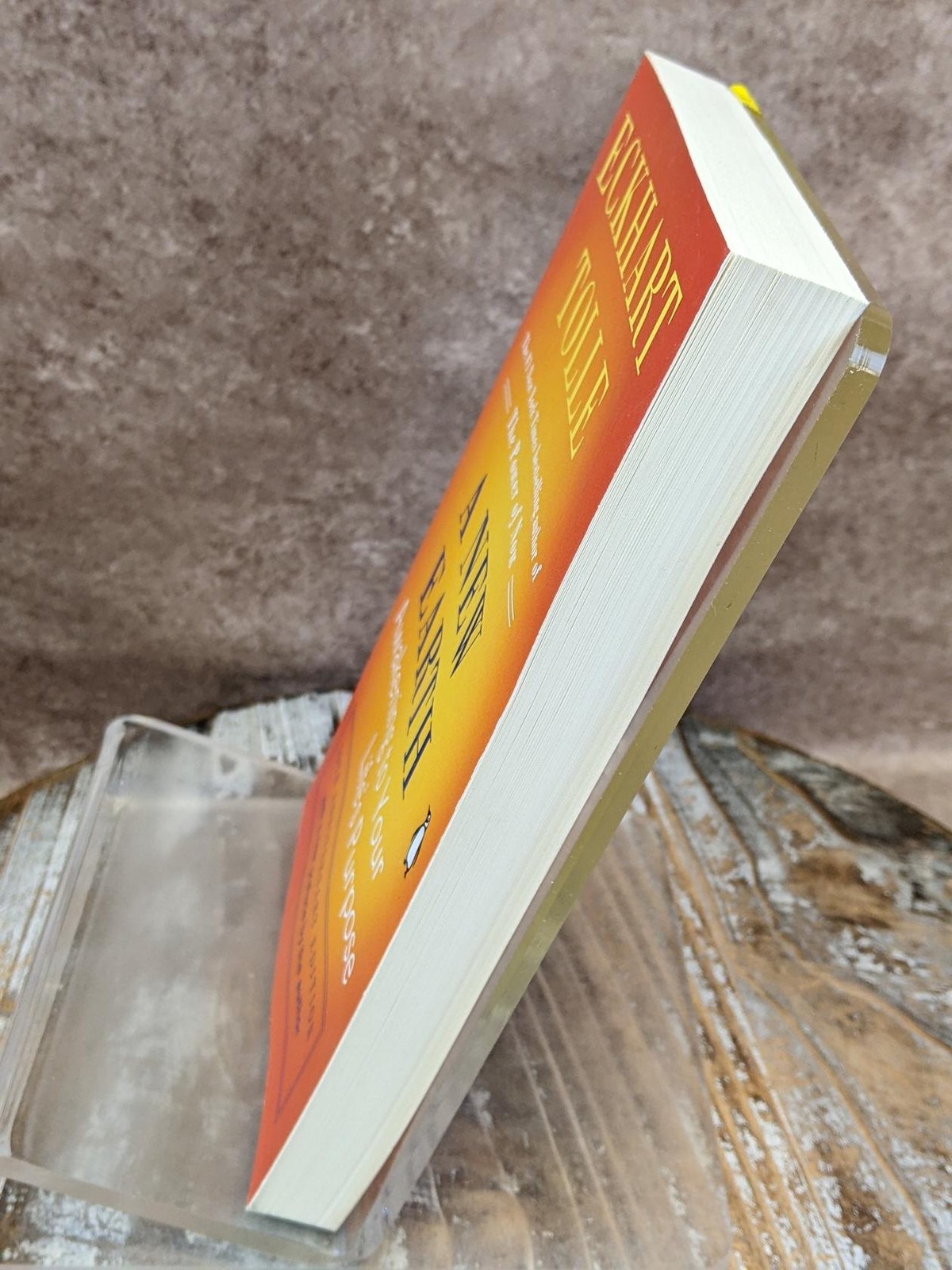 A New Earth: Awakening to Your Life’s Purpose by Eckhart Tolle Paperback Book
