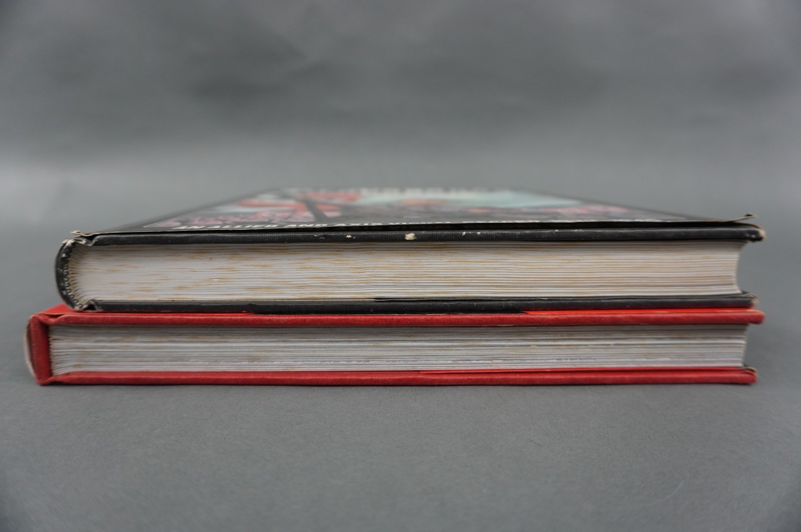 Third Reich Illustrated History & WWII Propaganda Hardcover Books Lot of 2