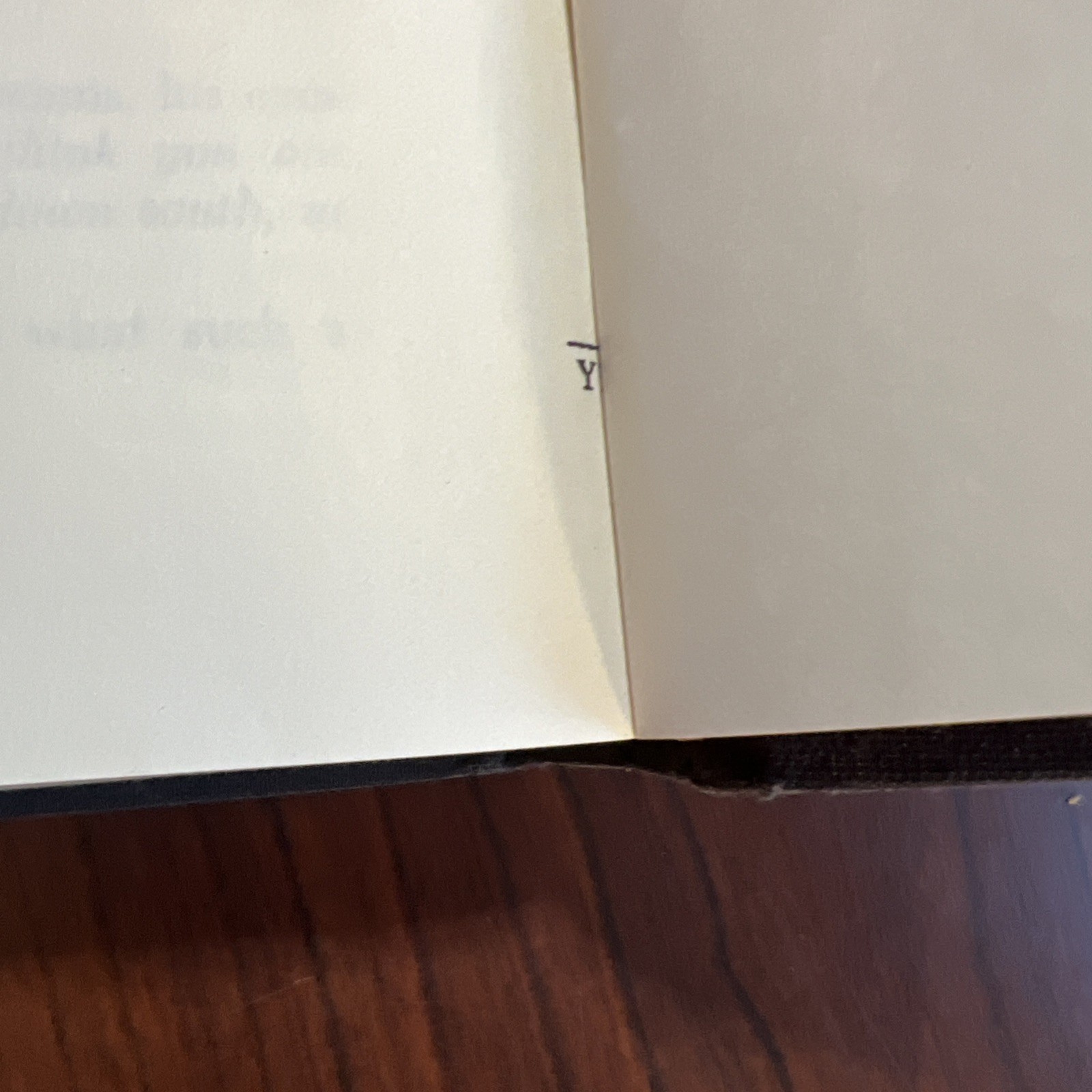 „Pet Sematary“ ~ Stephen King: Y38 TRUE First Edition 1st Printing