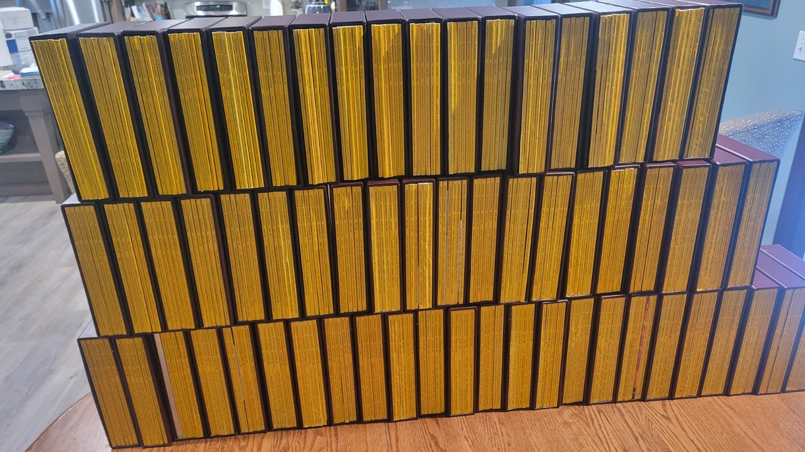 Complete 31-Yr National Geographic Collection 1978-2008 – 373 Issues – Sleeved