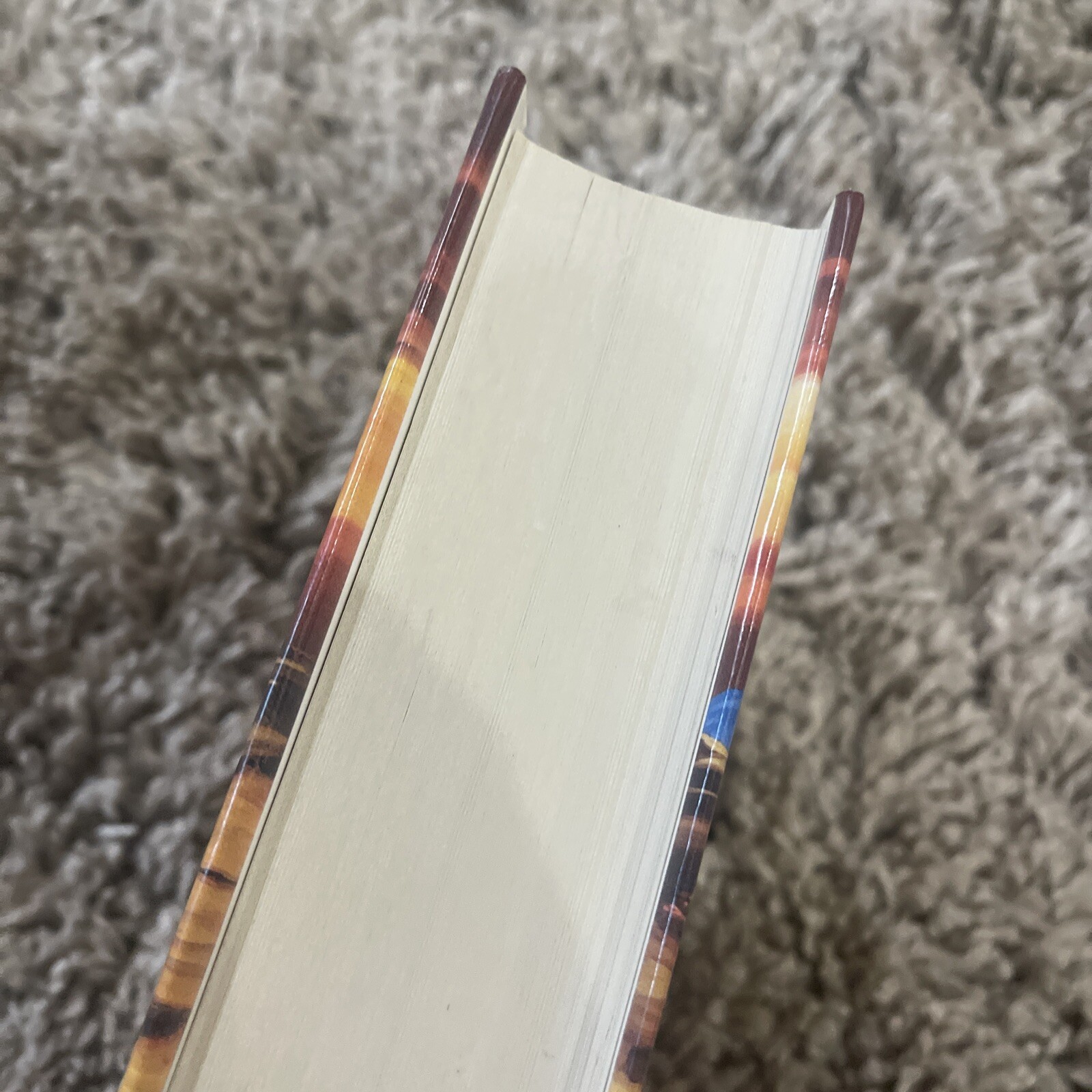 Earth’s Children Ser.: The Plains of Passage : A Novel by Jean M. Auel 1990 HCDJ
