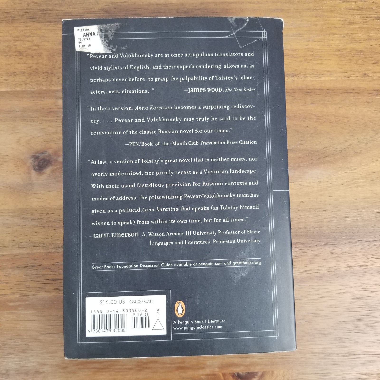 Anna Karenina Paperback Soft Cover Leo Tolstoy 800+ Pages Y2K Edition