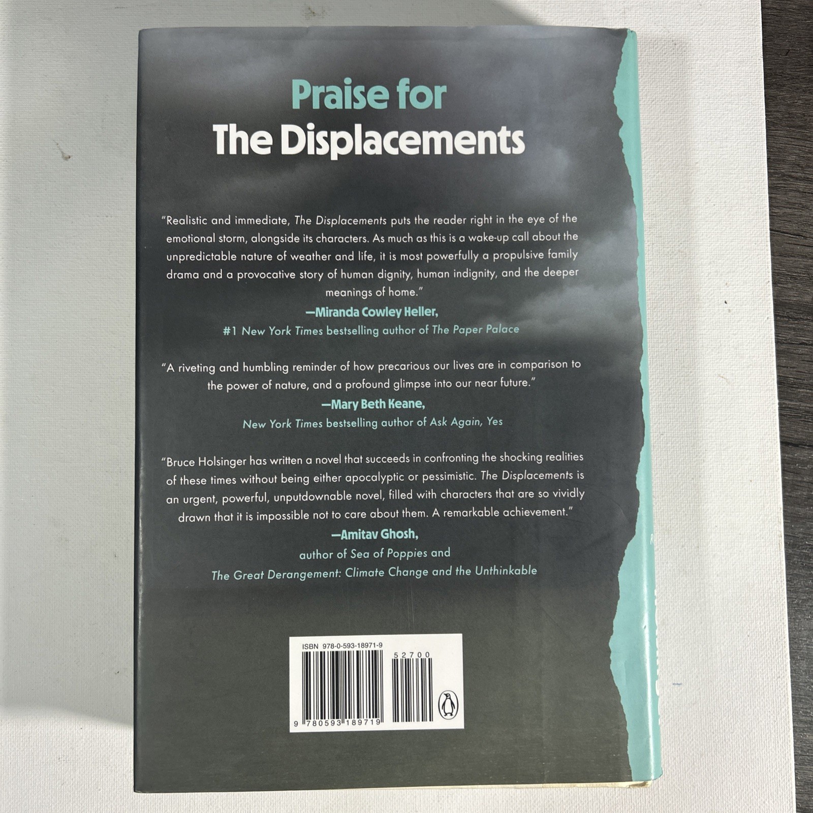 The Displacements: A Novel By Bruce Holsinger First Edition First Printing