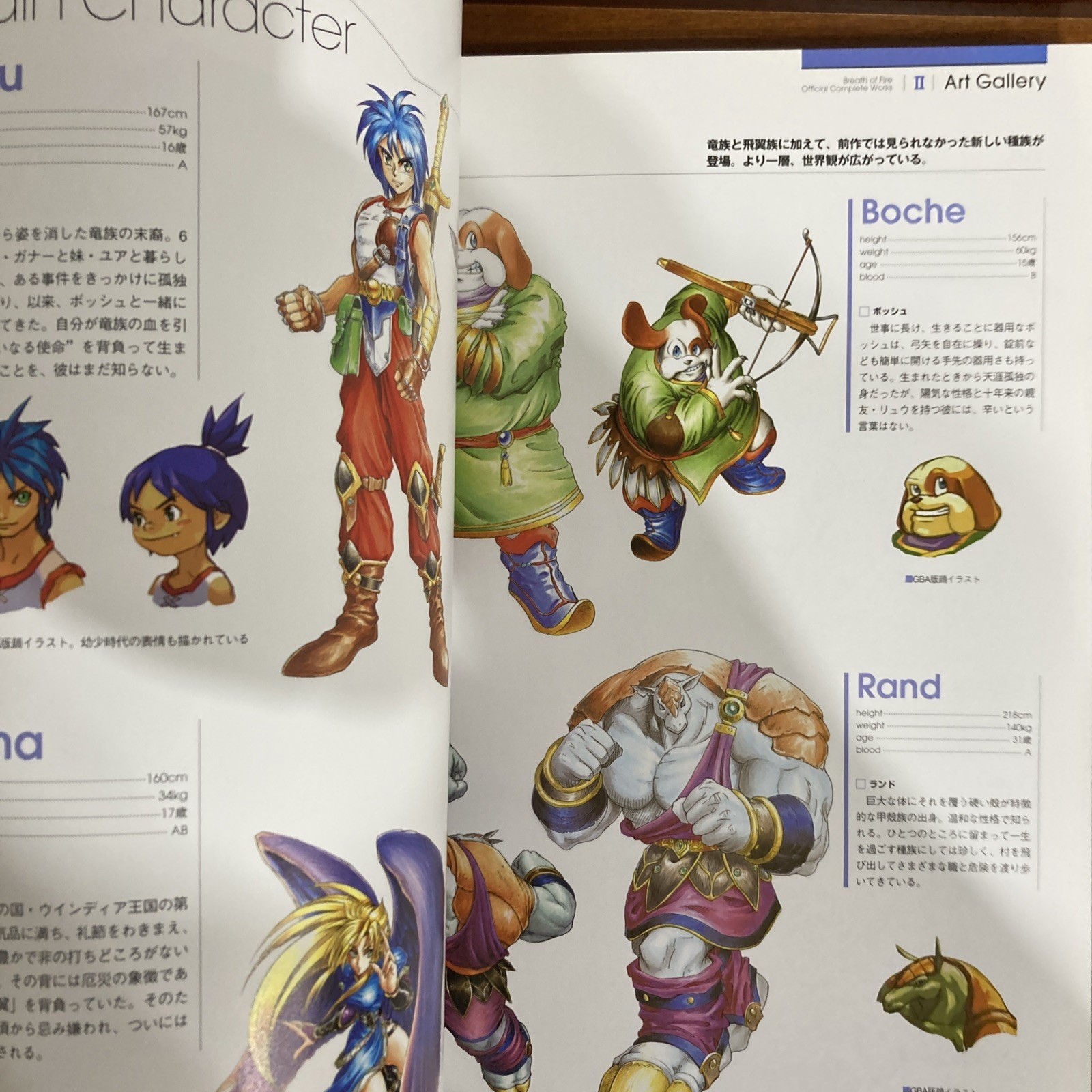 Breath Of Fire Official Complete Works Art Book Capcom Illustration