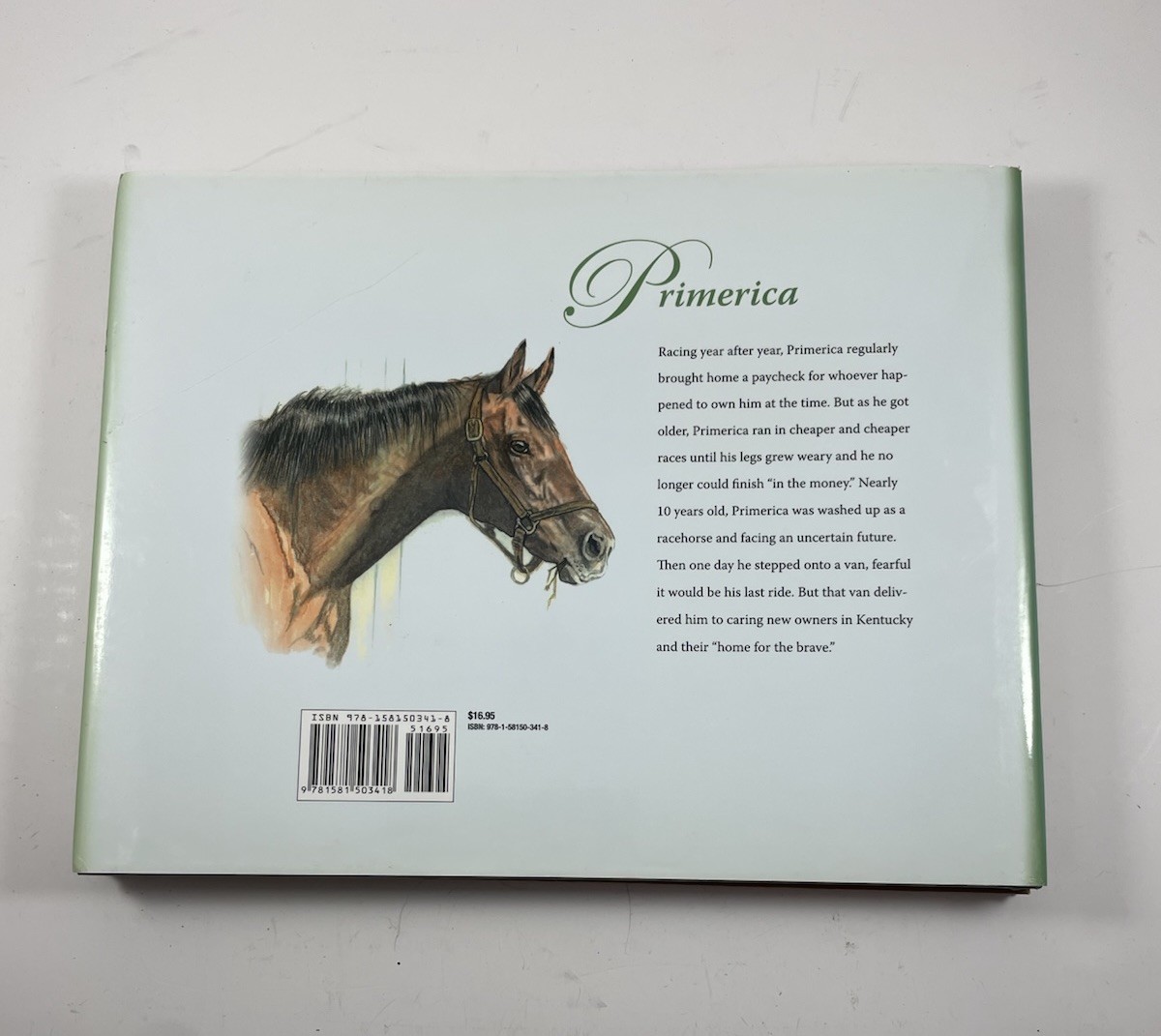 Primerica & Skipingo Home By Jane Lyon & Karen Bailey, Hardcover, 39 Pages Each