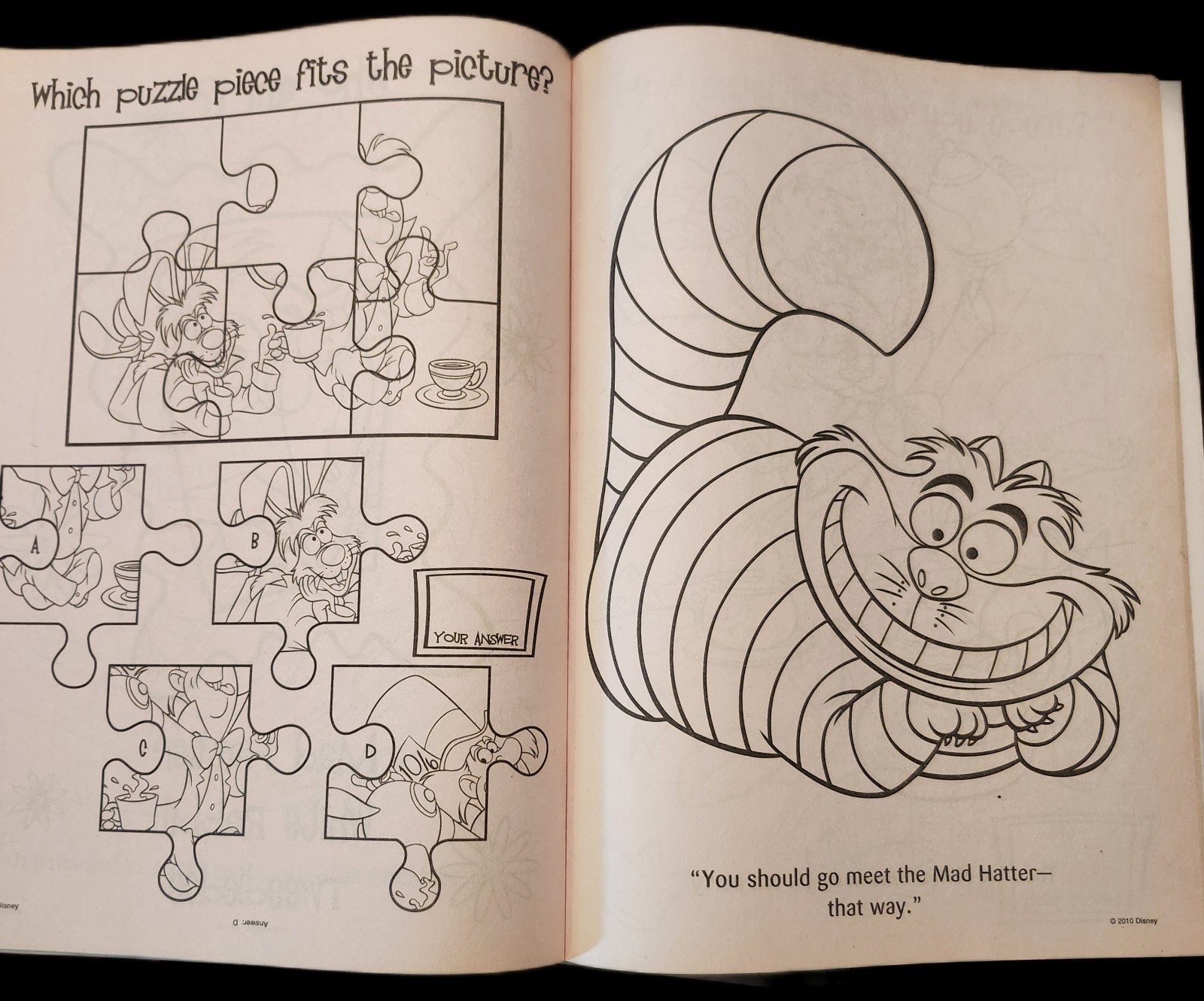 DISNEY ALICE IN WONDERLAND COLORING BOOKS (64 PAGES EACH) FREE SHIPPING USA
