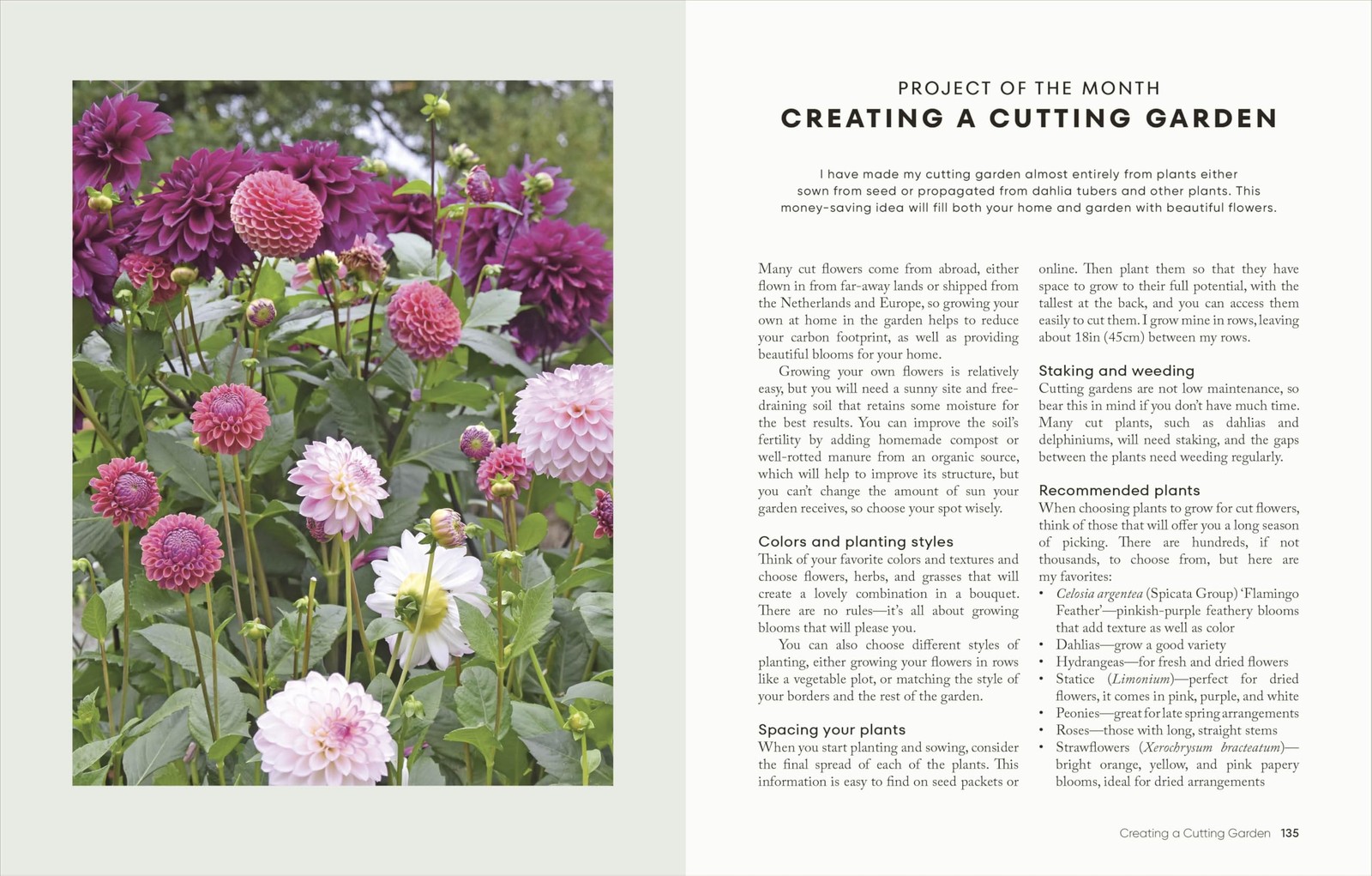 The Money-Saving Garden Year: A Month-by-month Guide to a Great Multicolor