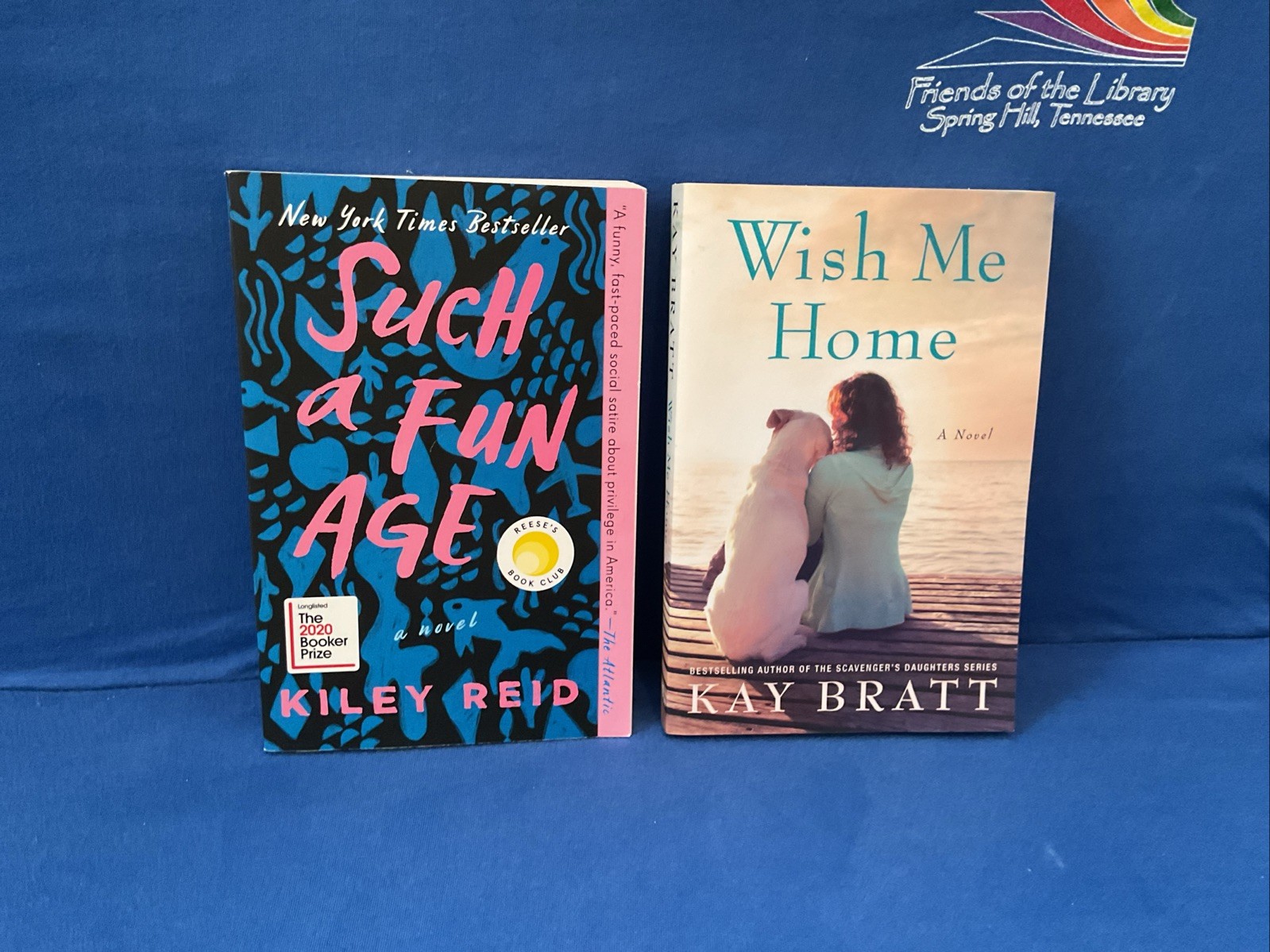 Lot of 11 – Women’s Contemporary Topics, By Jodi Picoult & Others, PB