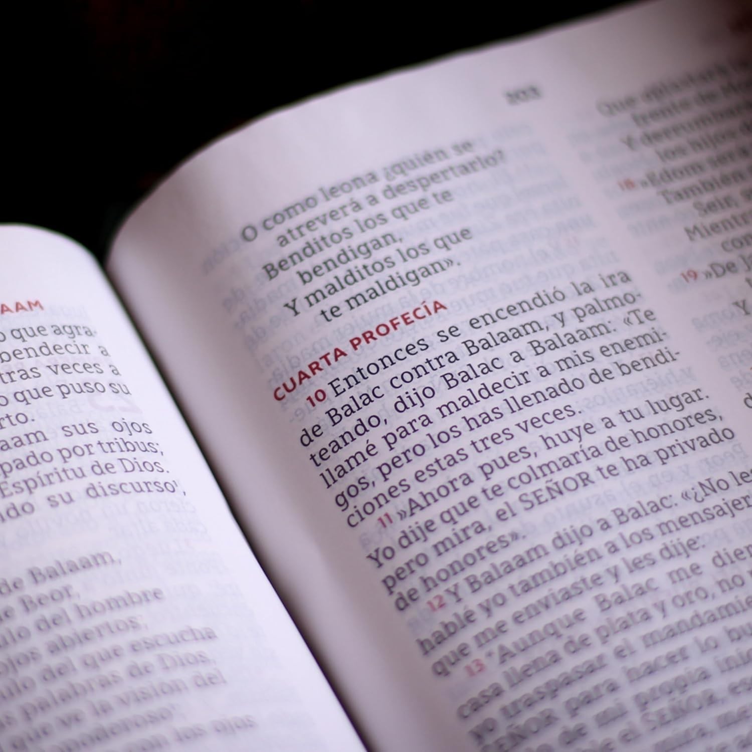 NBLA, Biblia para la Lectura Pública, Versificada, Letra Grande, Piel de Cabra,