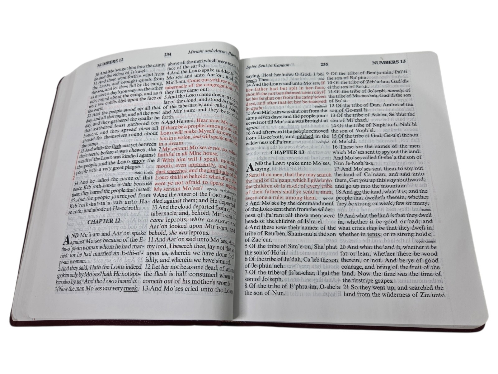 God’s Holy Bible KJV Special Margin Edition LARGE PRINT 1999 Burgundy Red Letter