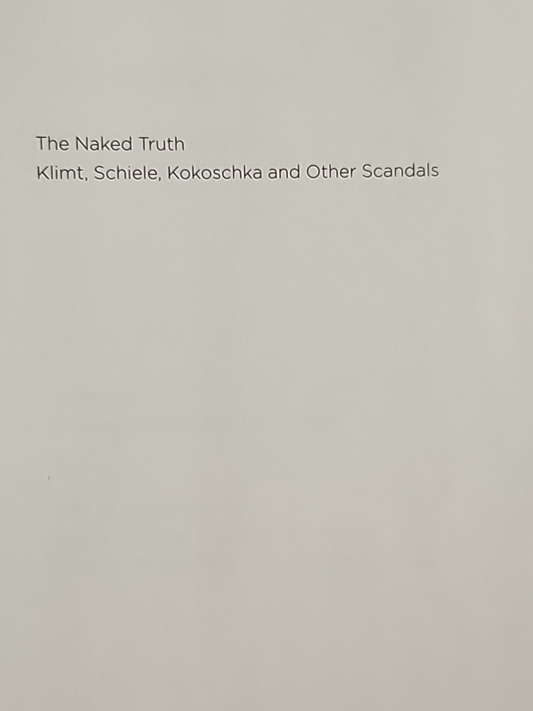 Vienna & Klimt Book Lot – The Naked Truth, A Nervous Splendor, Prestel