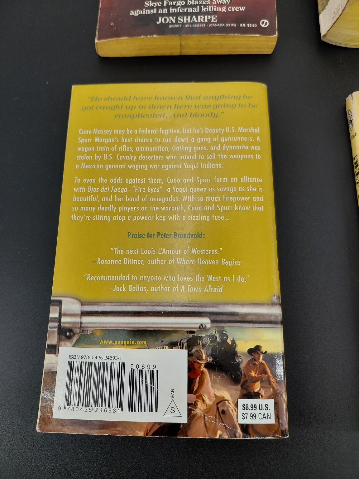 Western Adventure Fiction Books