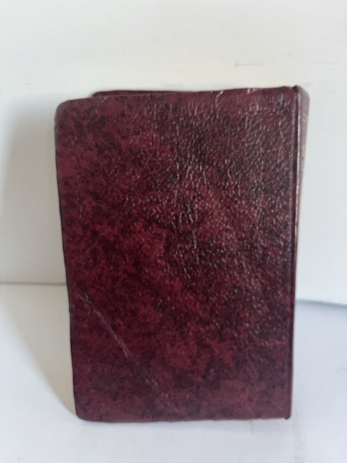 Bible NAB by Fireside Catholic Publishing 1994-1995 Edition Leather Bound