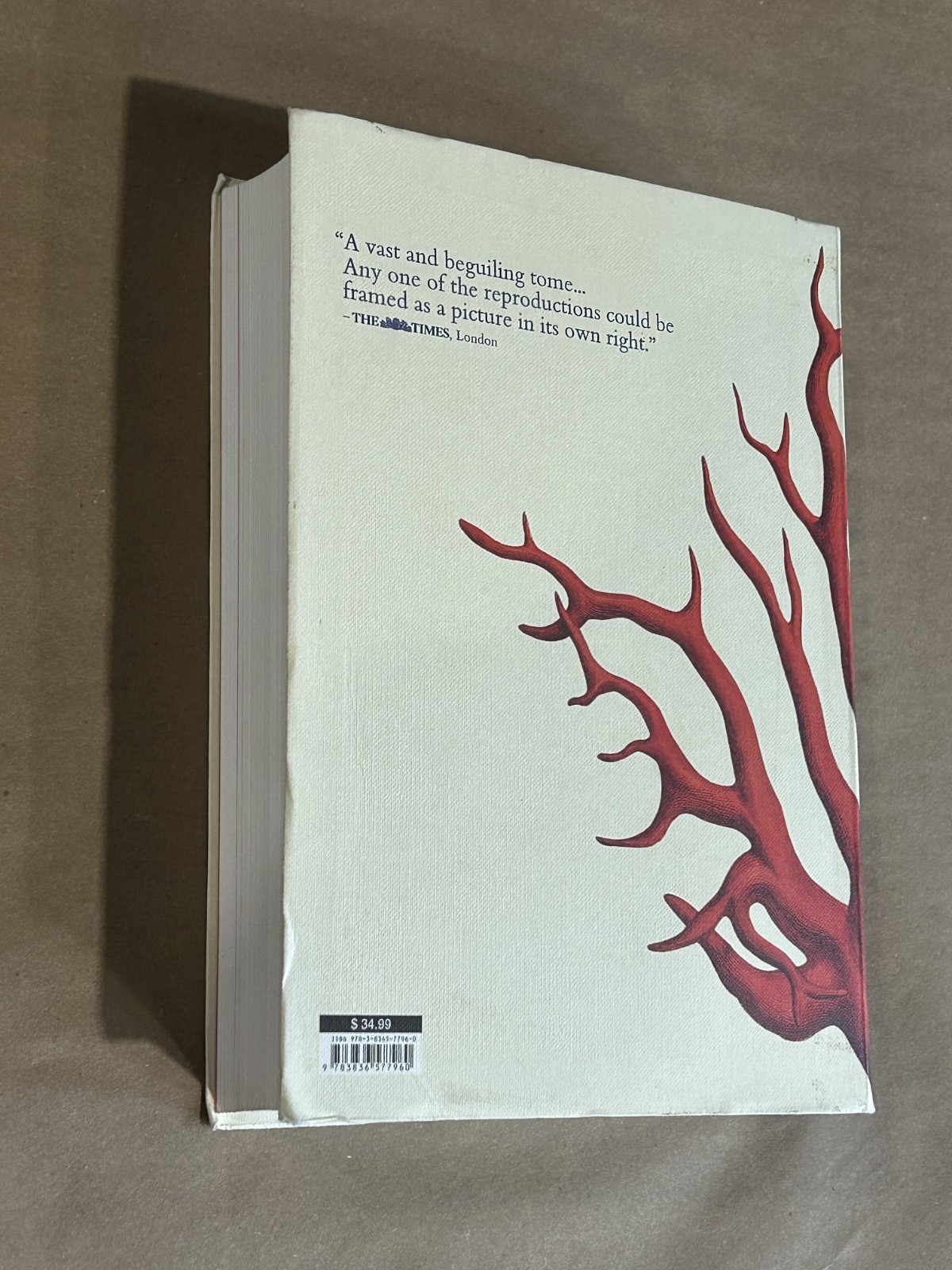 Albertus Seba Cabinet of Natural Curiosities Book Multilingual Edition Paperback