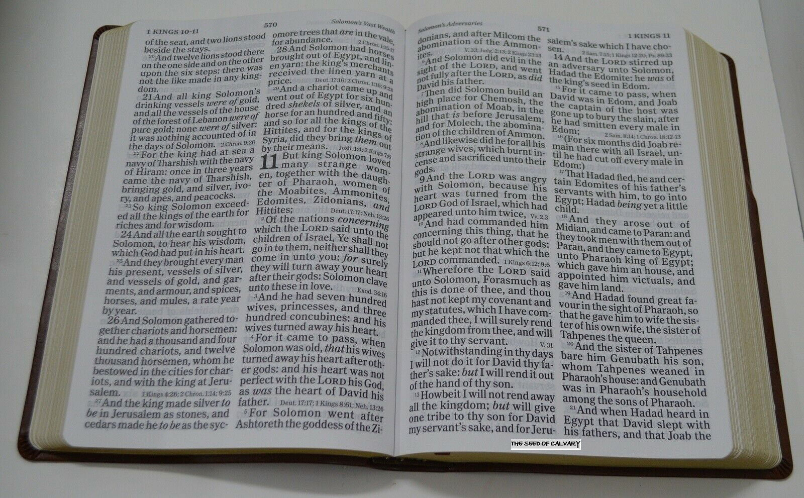 GIANT PRINT BIBLE King James Version NEW