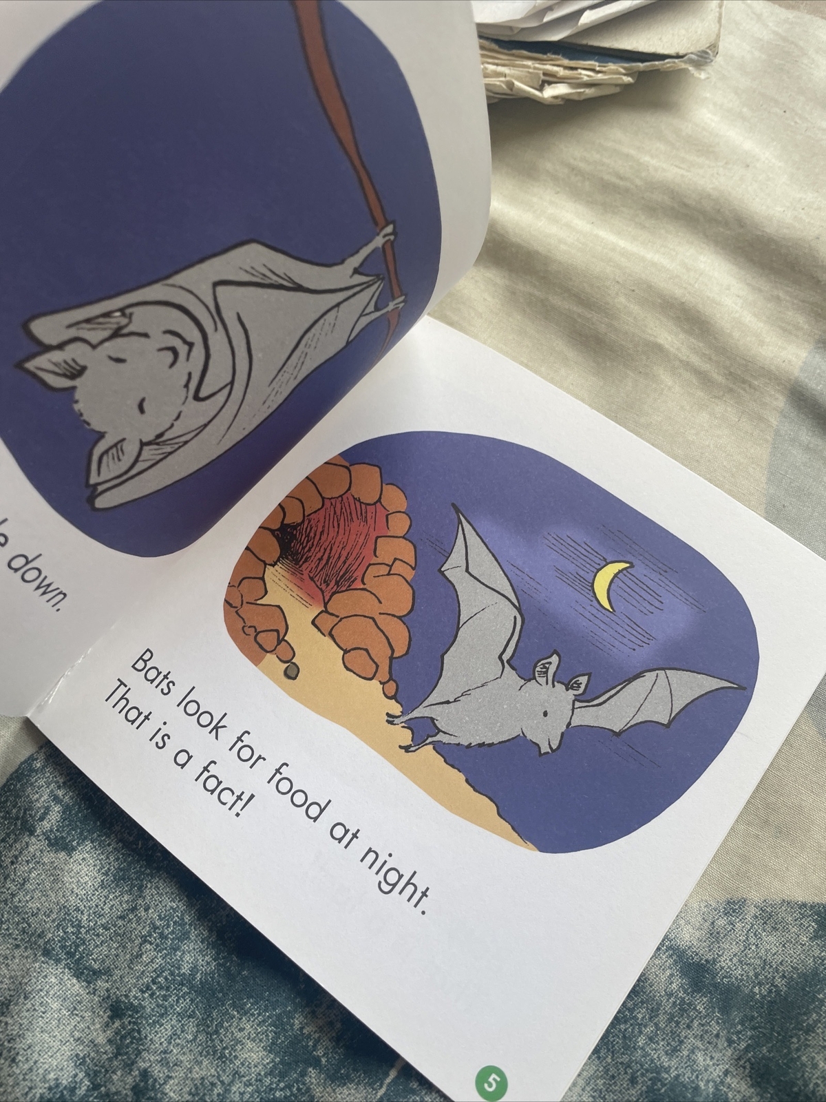 FIRST LITTLE READERS, LIZ CHARLESWORTH, BAT FACTS, 14 by 14CM