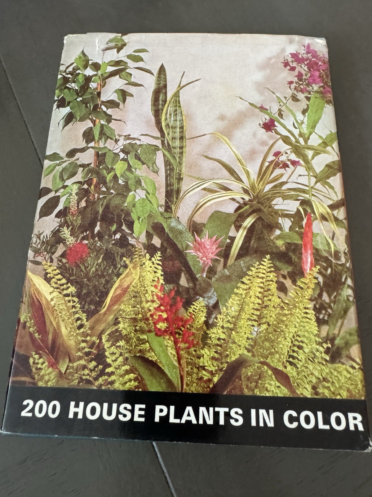 200 House Plants in Color G. Kromdijk HC Illustrated Gardening House Plants