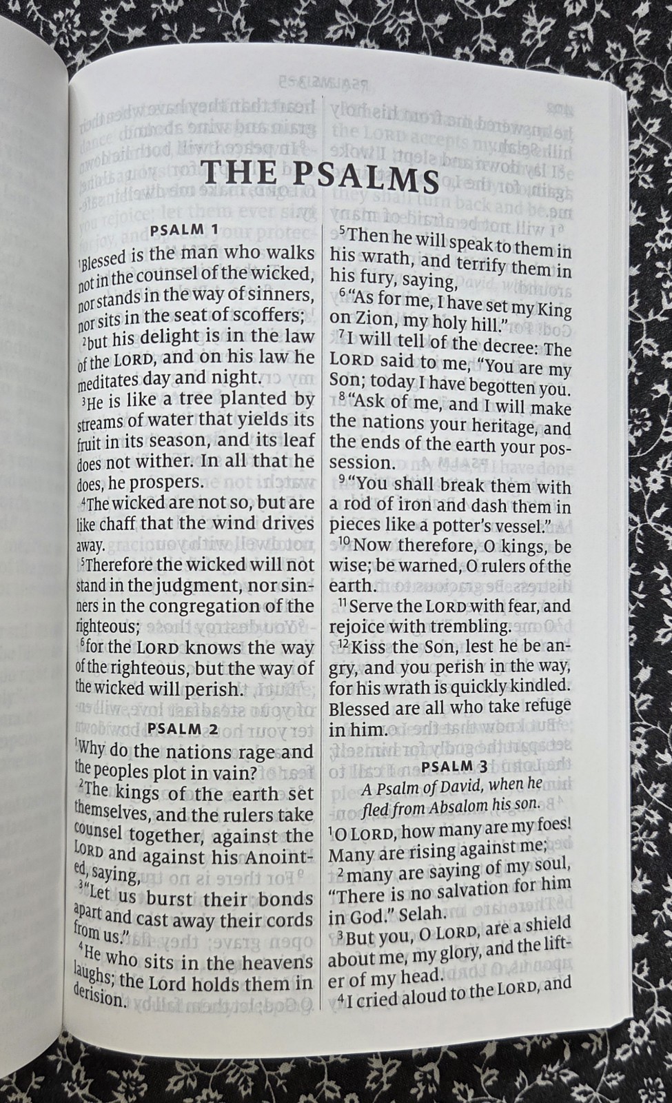 New Testament, Psalms, Gideons Bible, Thinking Of You, 2016, Brand New, PB