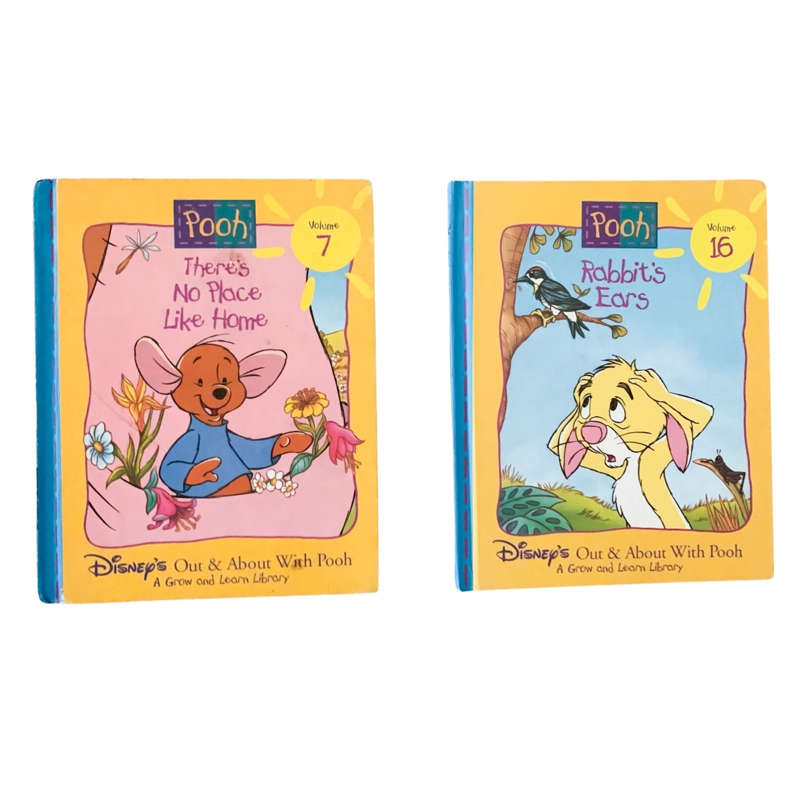 Disney’s“ Out & About With Pooh“ There’s No Place Like Home, Rabbit’s Ears x 2