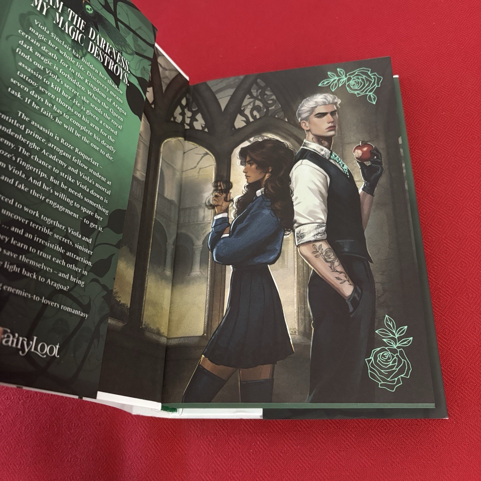 Seven Deadly Thorns – Amber Hamilton – Fairyloot Special Edition