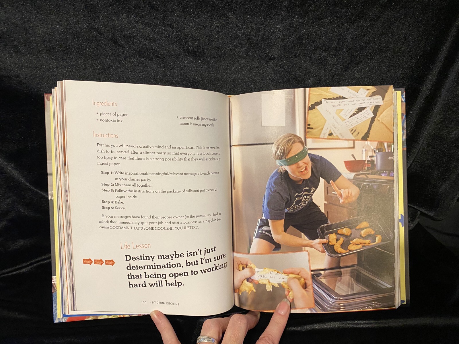 My Drunk Kitchen Hannah Hart Cook Book Journal Advice Cooking Internet Show