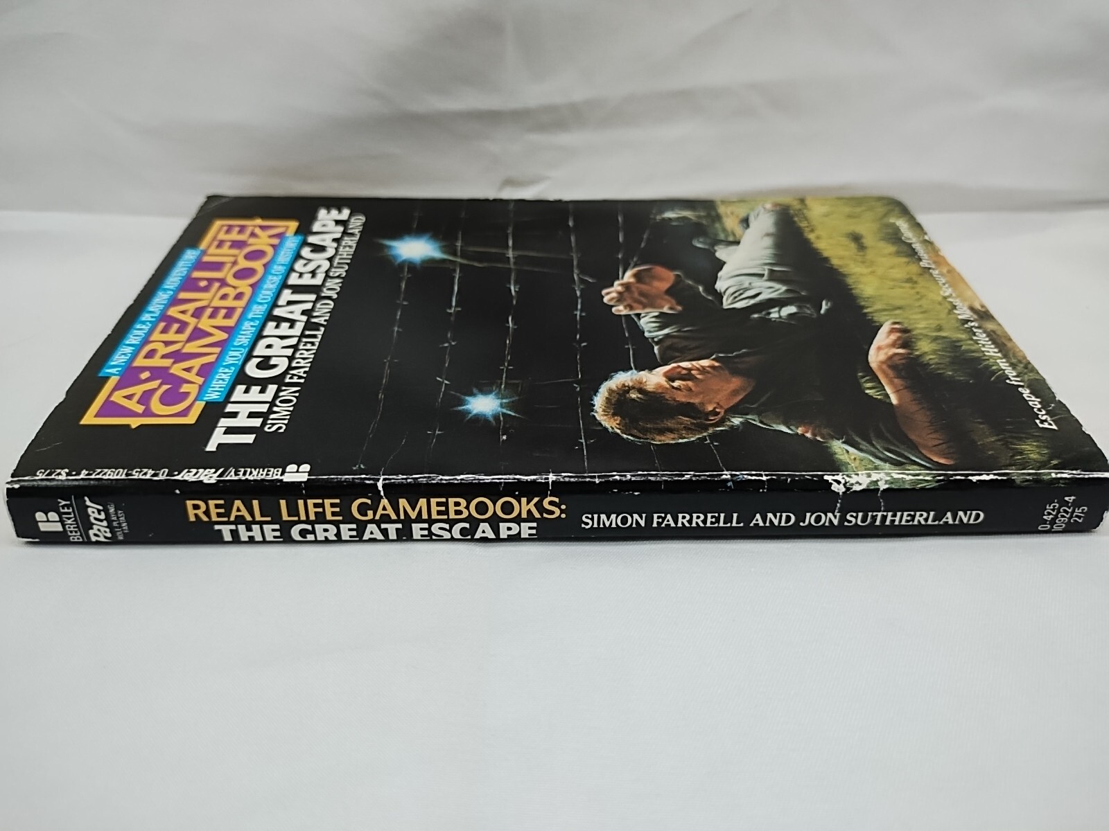 A Real Life Gamebook The Great Escape Choose Your Own Adventure Book