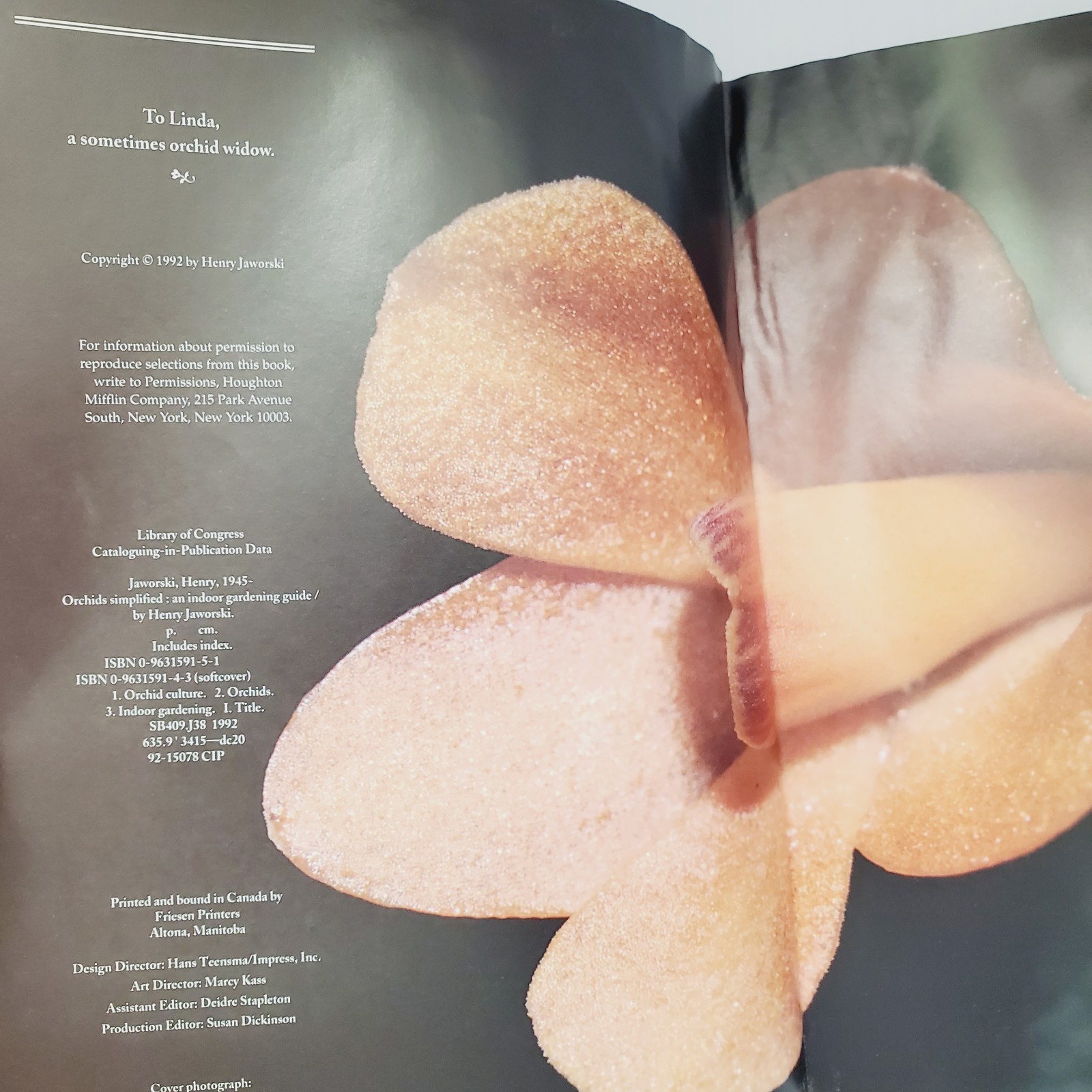 Orchids Simplified: An Indoor Gardening Guide Book Garden Houseplant Flowers
