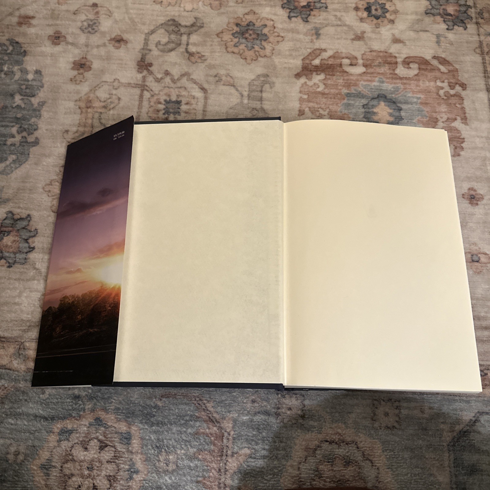 Under the Dome by Stephen King 2009 1st FIRST Edition 1st Print HC/DJ