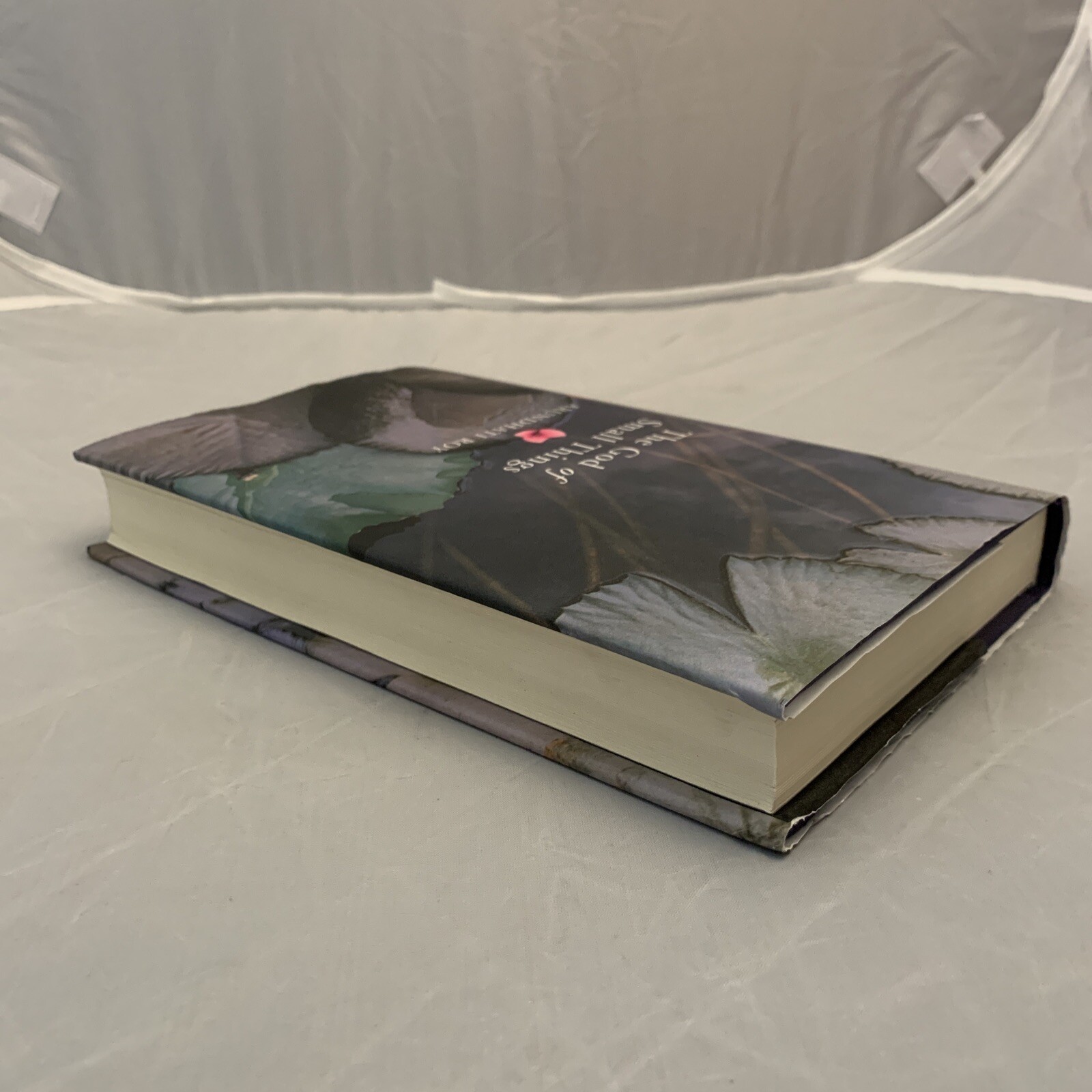 THE GOD OF SMALL THINGS – TRUE FIRST EDITION BY ARUNDHATI ROY RARE!