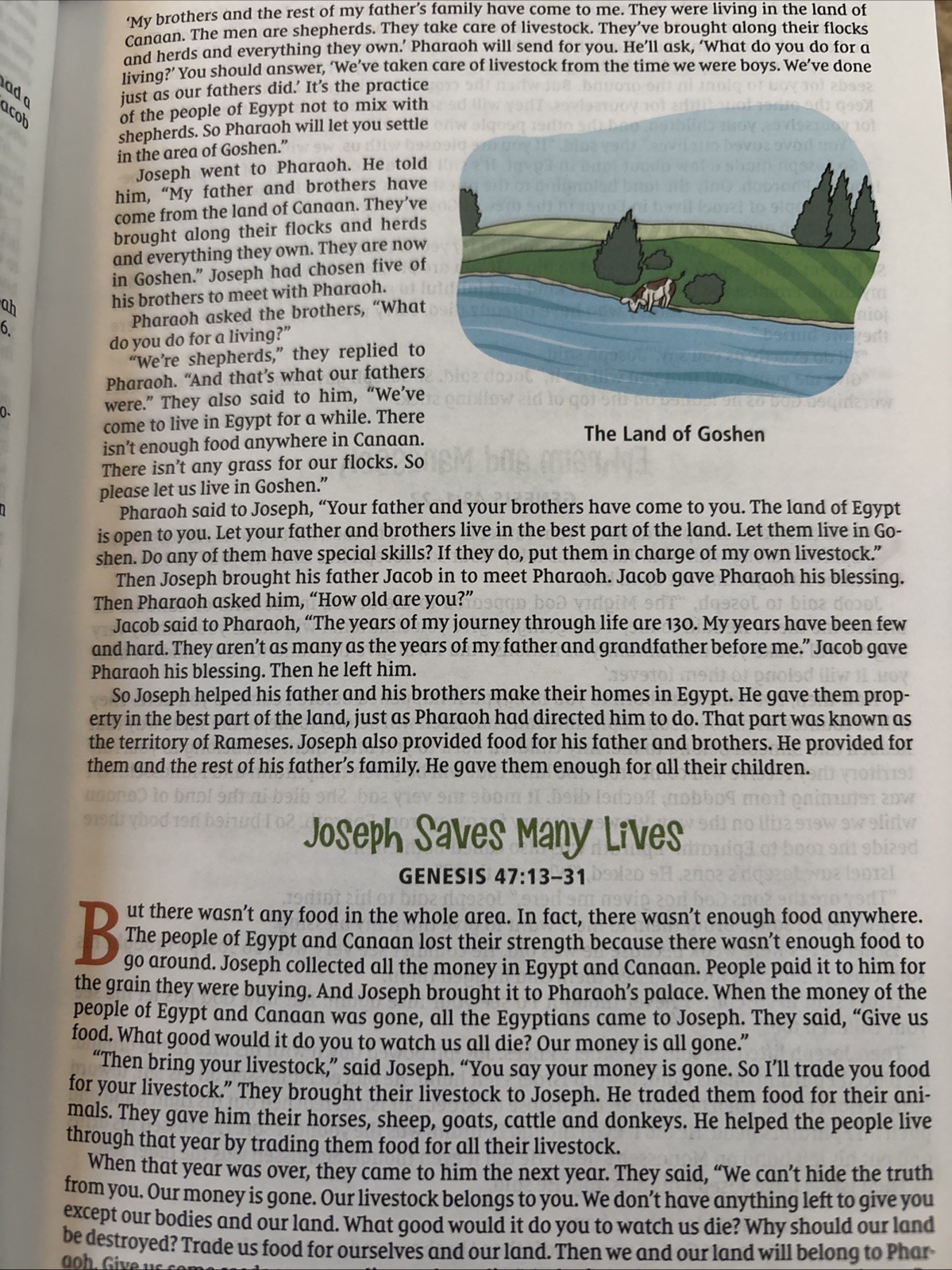 NIrV, The Illustrated Holy Bible for Kids, Hardcover, Full Color, Comfort – GOOD