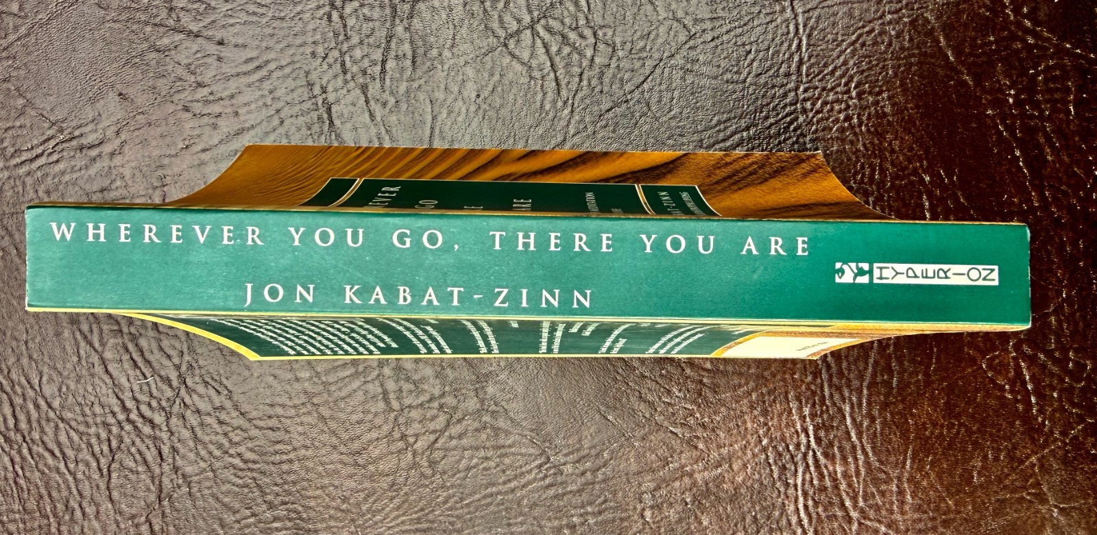 Wherever You Go, There You Are: Paperback FIRST EDITION MINT Jon Kabat-Zinn