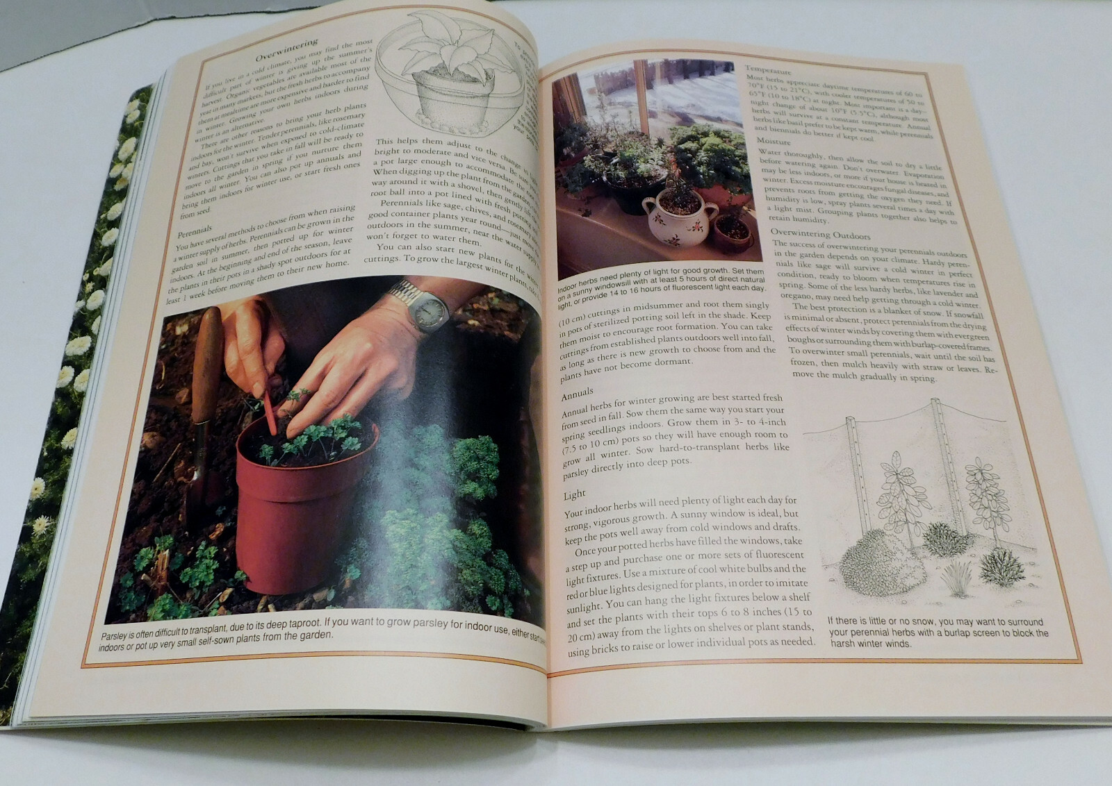 Rodale’s Successful Organic Gardening: Herbs 300 color photos 50 illustratration