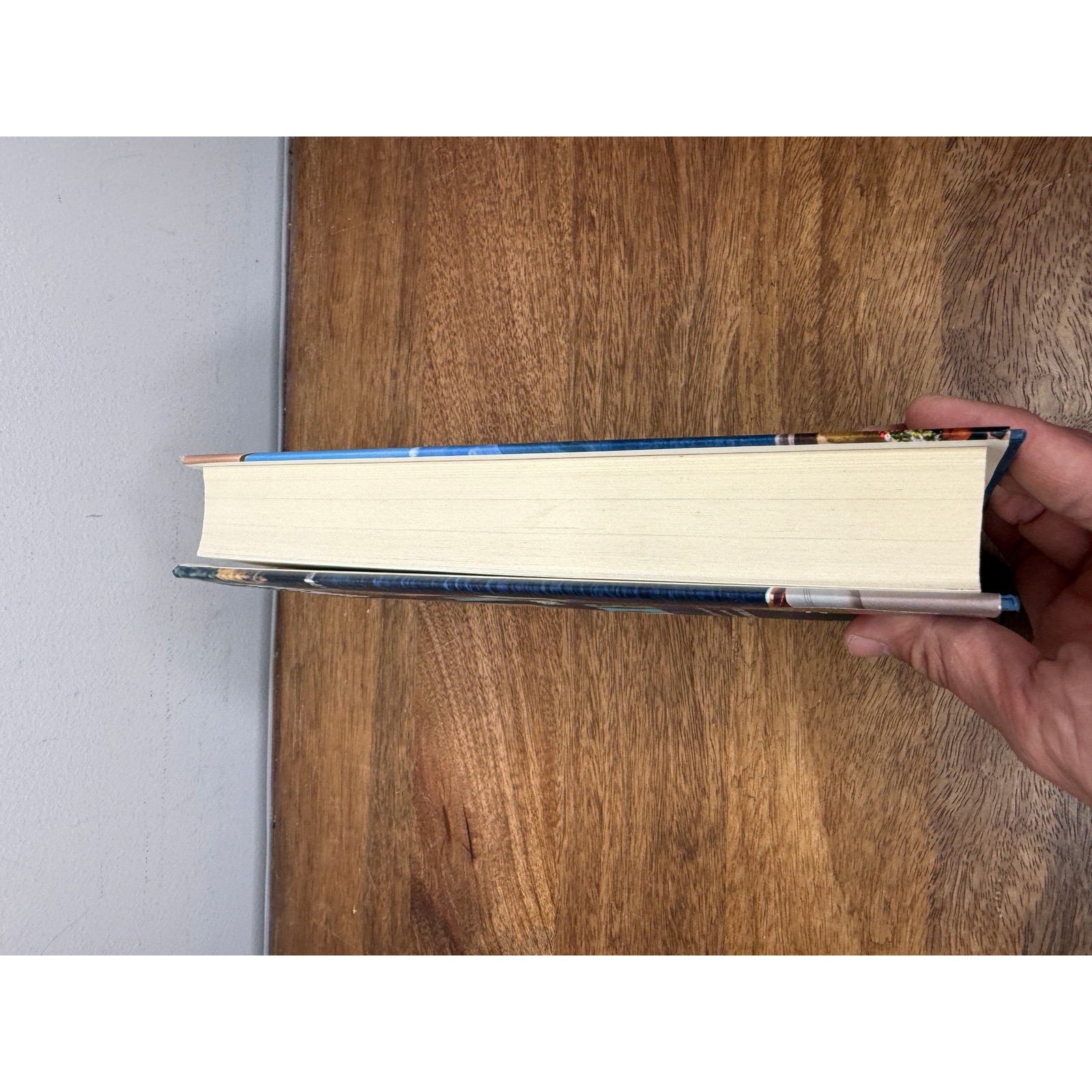 The View from Lake Como Adriana Trigiani Signed First Edition Hardcover Novel