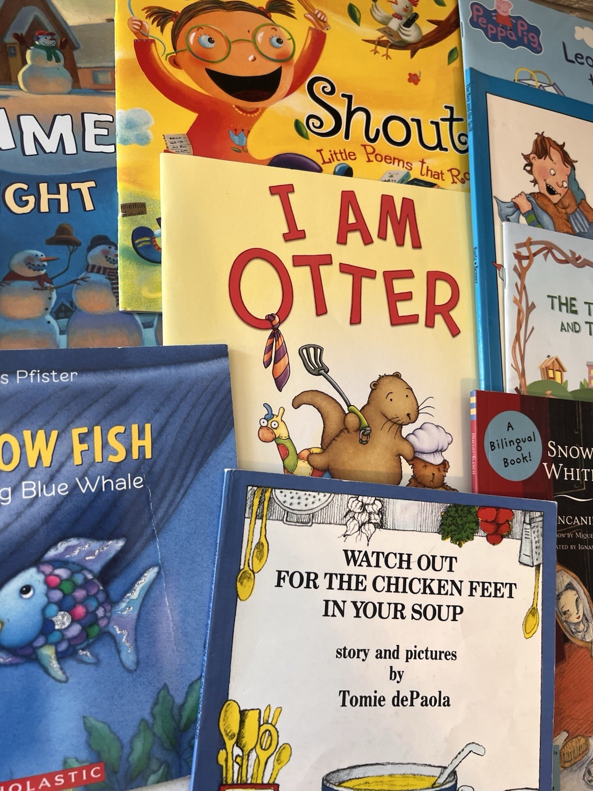 Picture Book Lot of 10 Books for Children’s Kids Toddler Daycare Rainbow Fish