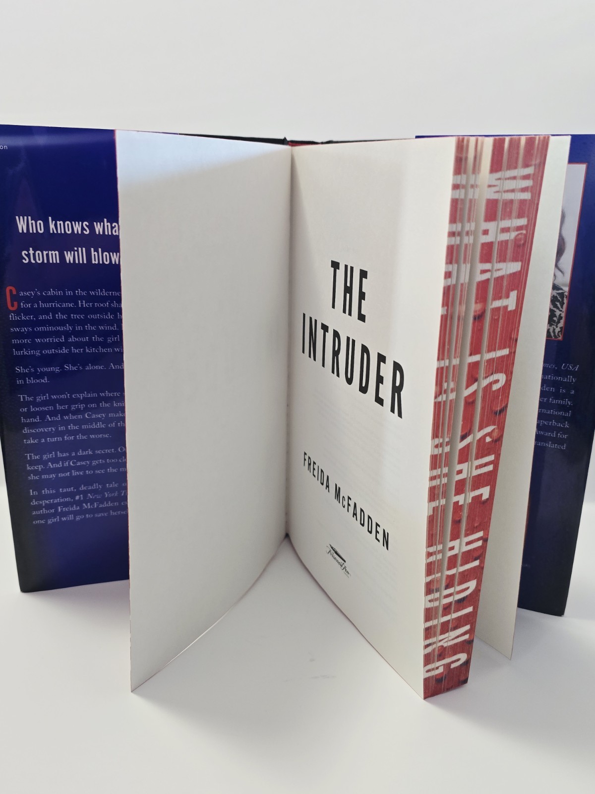 The Intruder – Hardcover, by McFadden Freida – Very Good u